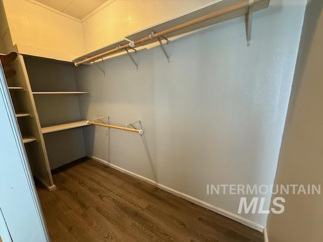 Walk in closet featuring dark wood-style floors