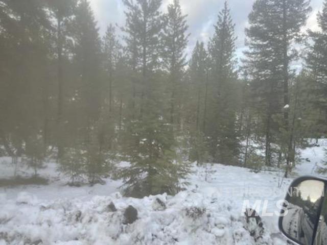 48 W Pine Add, New Meadows, Idaho 83654, Land For Sale, Price $299,000, 98951092
