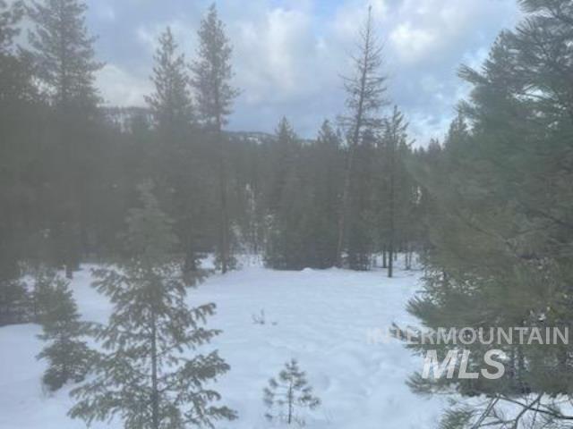 48 W Pine Add, New Meadows, Idaho 83654, Land For Sale, Price $299,000, 98951092