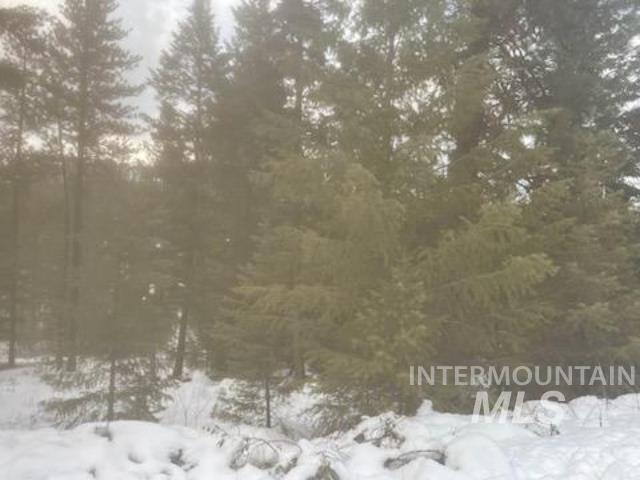 48 W Pine Add, New Meadows, Idaho 83654, Land For Sale, Price $299,000, 98951092