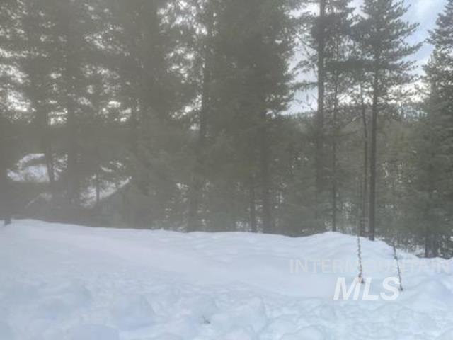 48 W Pine Add, New Meadows, Idaho 83654, Land For Sale, Price $299,000, 98951092