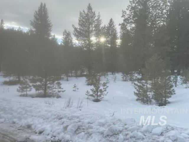 48 W Pine Add, New Meadows, Idaho 83654, Land For Sale, Price $299,000, 98951092