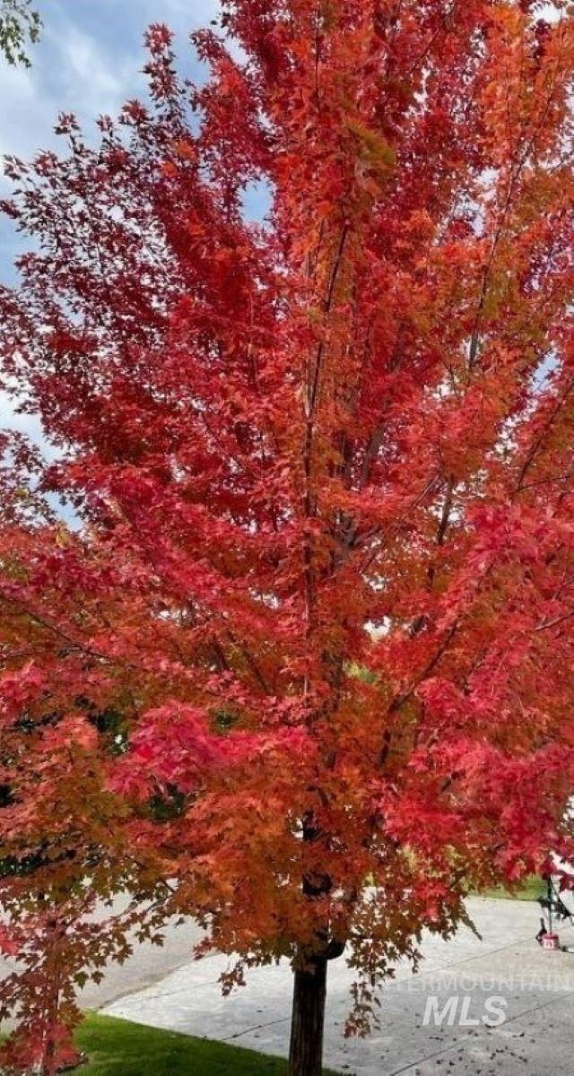 200 W Commons Rd., Idaho Falls, Idaho 83401, 6 Bedrooms, 3 Bathrooms, Residential For Sale, Price $759,000, 98951112