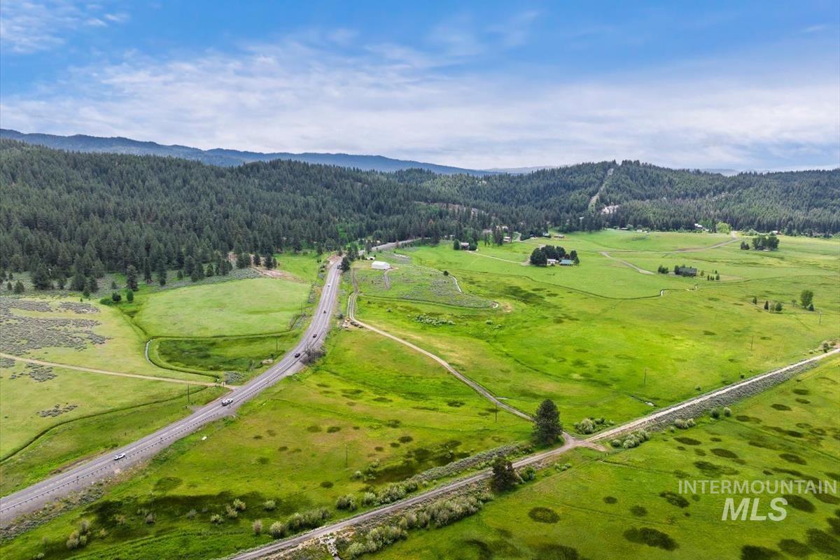 Bird's eye view of a forest and a mountainous background