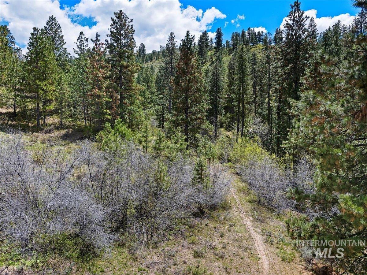 675 W Russell Dr, Prairie, Idaho 83647, 3 Bedrooms, 2 Bathrooms, Residential For Sale, Price $1,250,000, 98951187