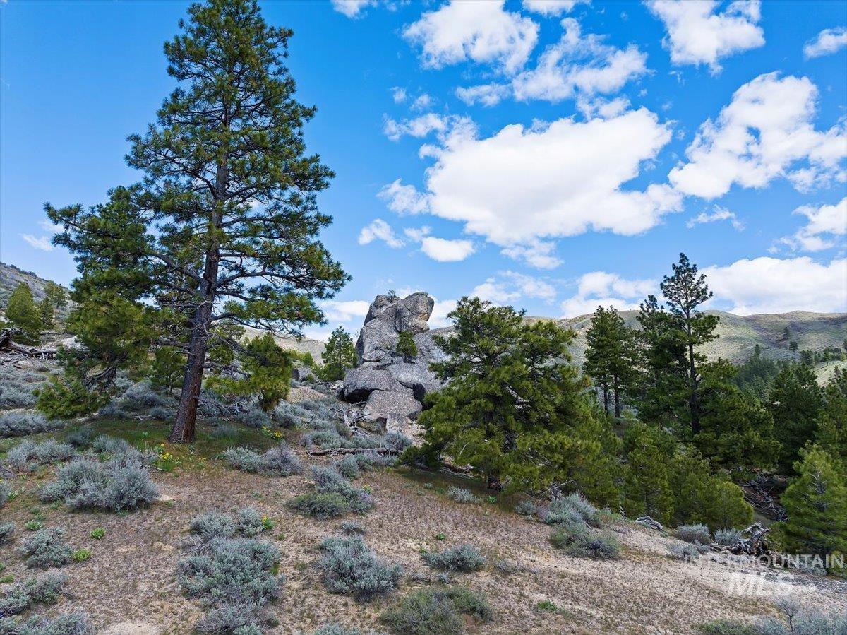 675 W Russell Dr, Prairie, Idaho 83647, 3 Bedrooms, 2 Bathrooms, Residential For Sale, Price $1,250,000, 98951187