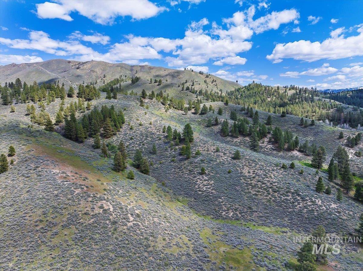 675 W Russell Dr, Prairie, Idaho 83647, 3 Bedrooms, 2 Bathrooms, Residential For Sale, Price $1,250,000, 98951187