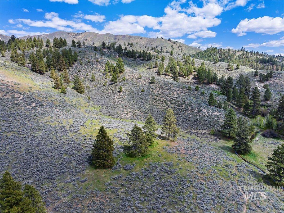 675 W Russell Dr, Prairie, Idaho 83647, 3 Bedrooms, 2 Bathrooms, Residential For Sale, Price $1,250,000, 98951187