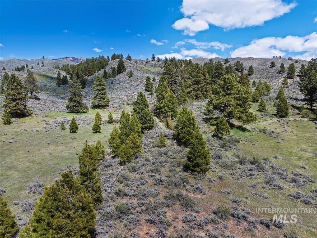 675 W Russell Dr, Prairie, Idaho 83647, 3 Bedrooms, 2 Bathrooms, Residential For Sale, Price $1,250,000, 98951187