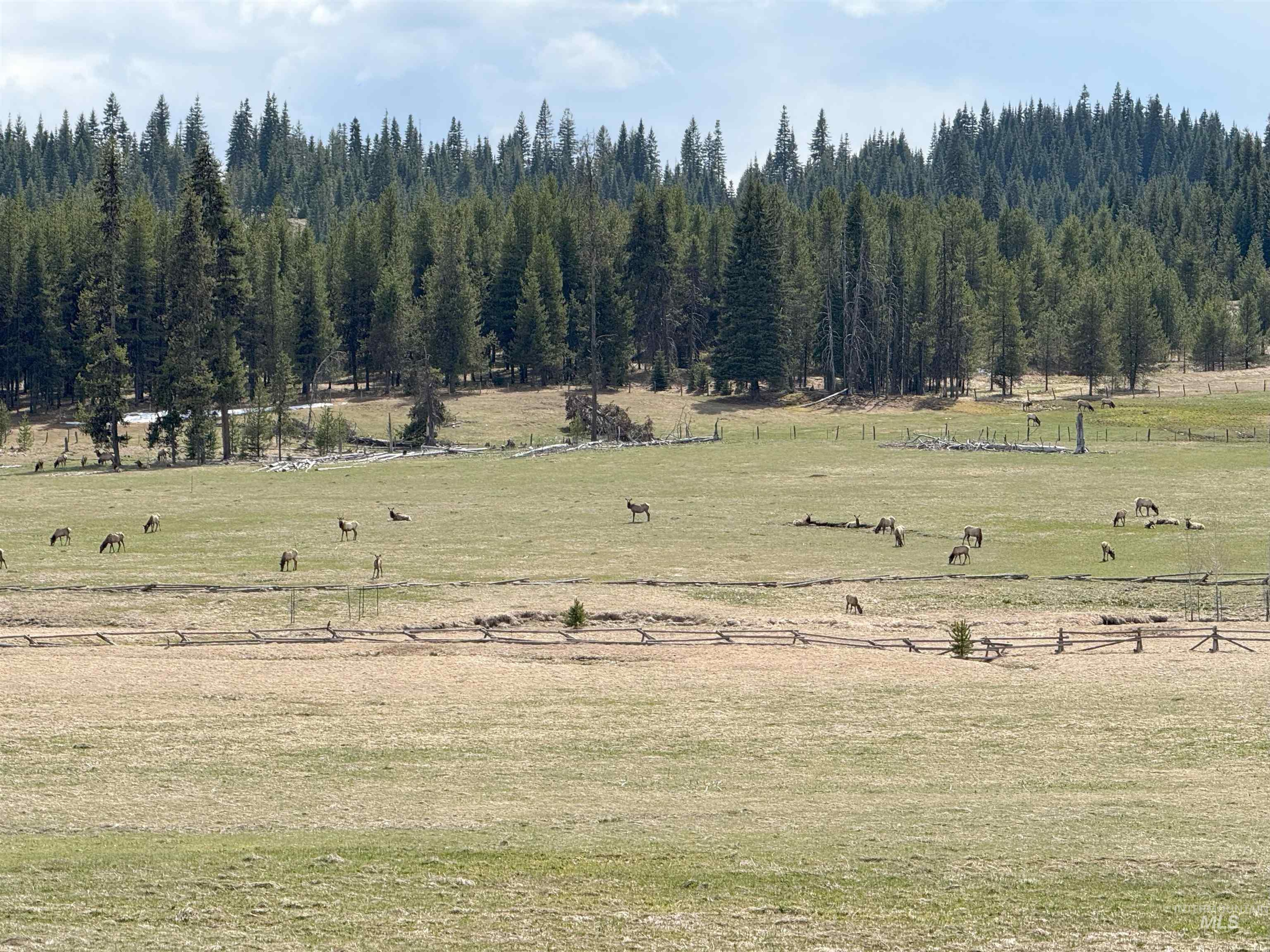 500 Maxwell Lane, Elk City, Idaho 83525, 3 Bedrooms, 2.5 Bathrooms, Residential For Sale, Price $2,395,000, 98951286