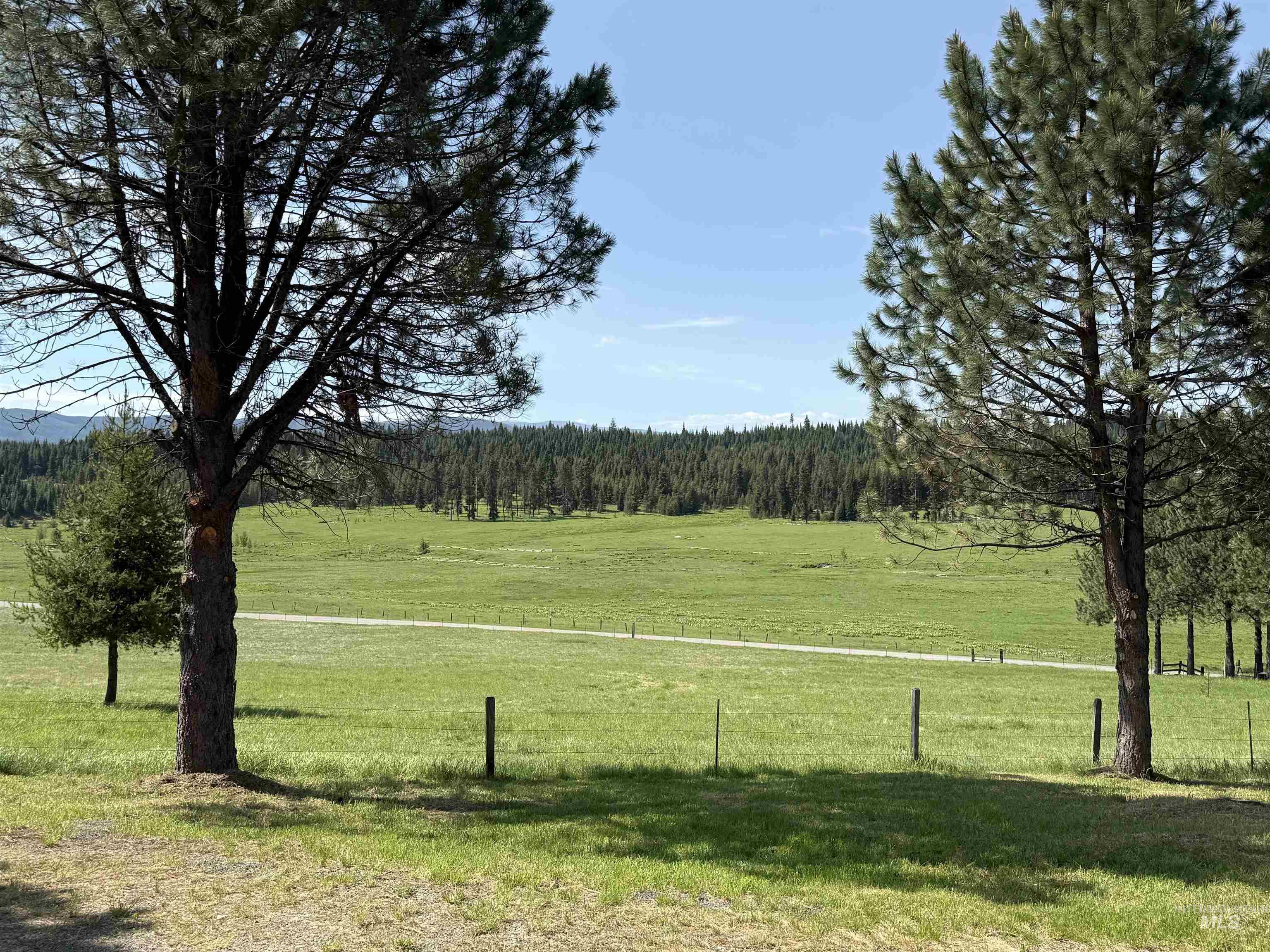 500 Maxwell Lane, Elk City, Idaho 83525, 3 Bedrooms, 2.5 Bathrooms, Residential For Sale, Price $2,395,000, 98951286