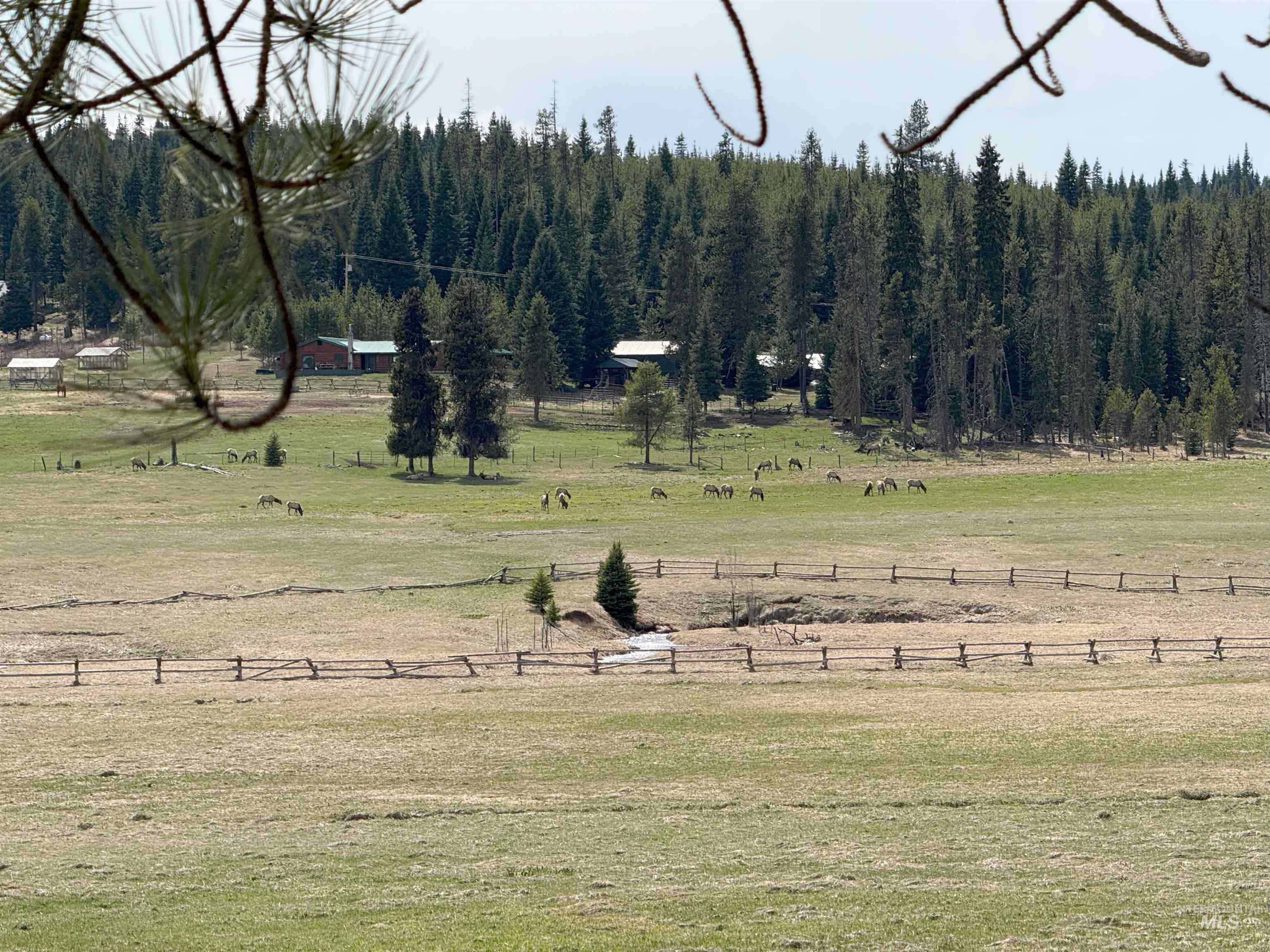 500 Maxwell Lane, Elk City, Idaho 83525, 3 Bedrooms, 2.5 Bathrooms, Residential For Sale, Price $2,395,000, 98951286