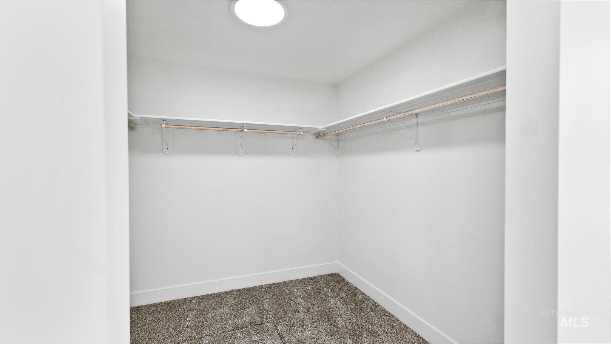 Walk in closet with dark colored carpet