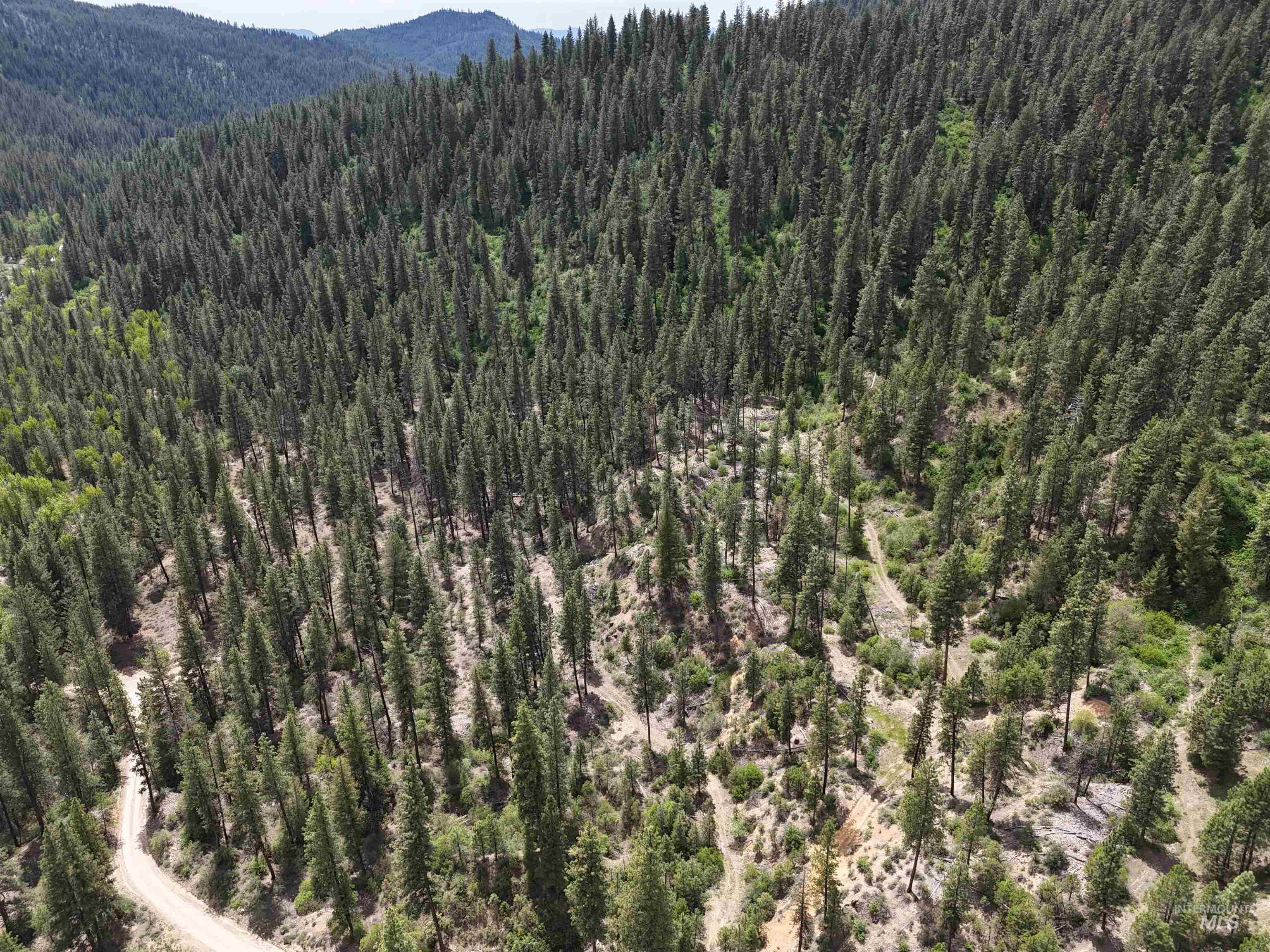TBD 39.64 Manning Ln, Idaho City, Idaho 83631, Land For Sale, Price $1,600,000, 98951292