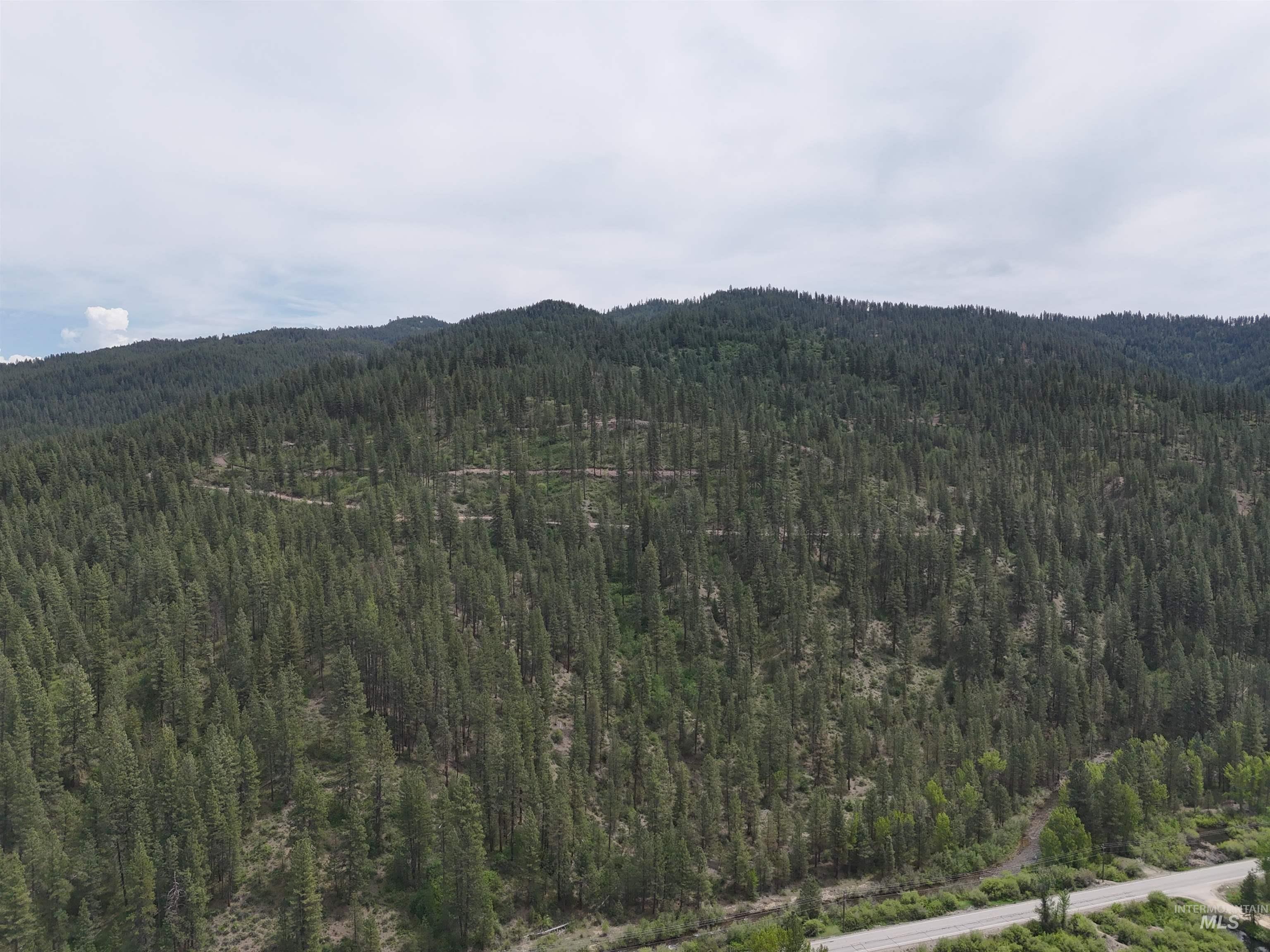 TBD 39.64 Manning Ln, Idaho City, Idaho 83631, Land For Sale, Price $1,600,000, 98951292