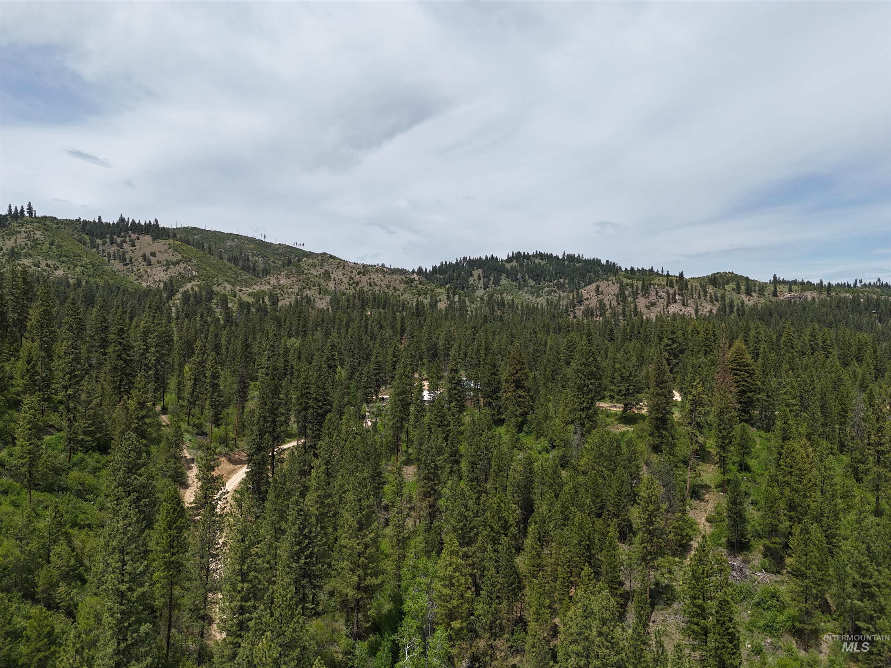 TBD 39.64 Manning Ln, Idaho City, Idaho 83631, Land For Sale, Price $1,600,000, 98951292