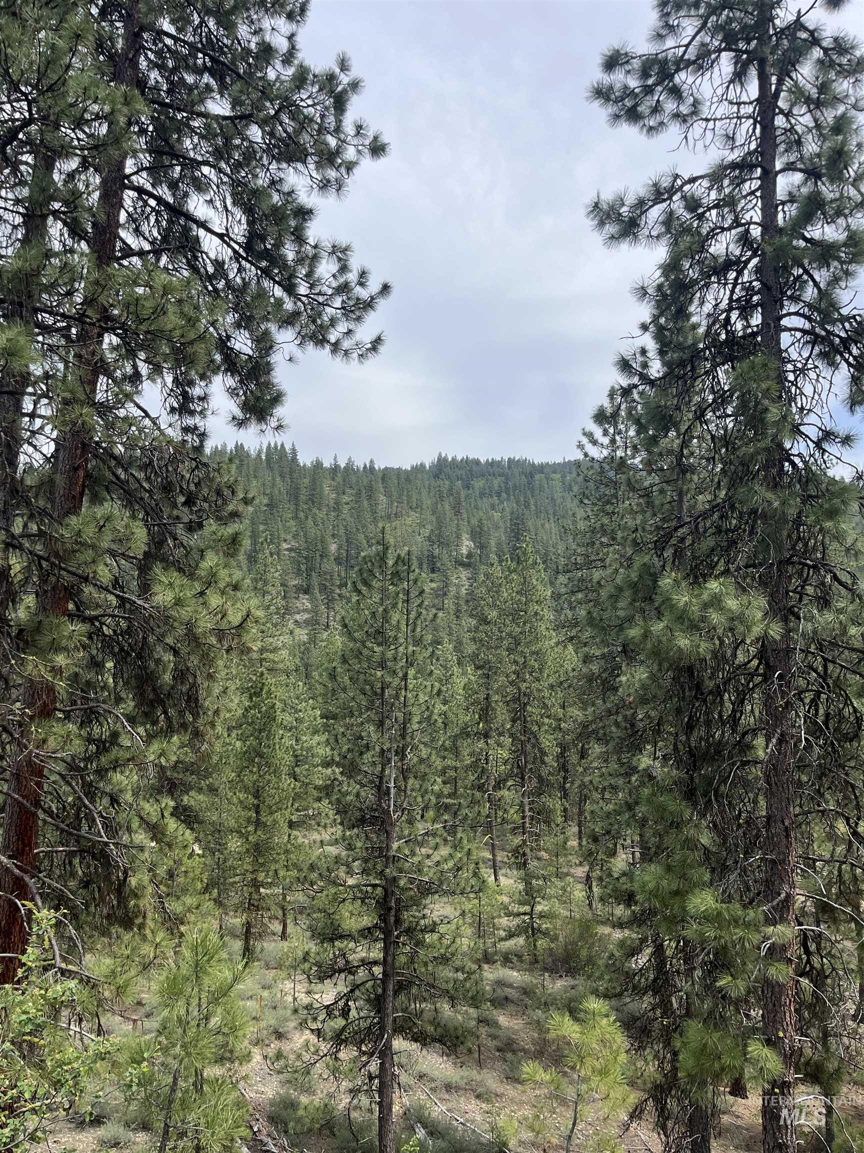 TBD 39.64 Manning Ln, Idaho City, Idaho 83631, Land For Sale, Price $1,600,000, 98951292