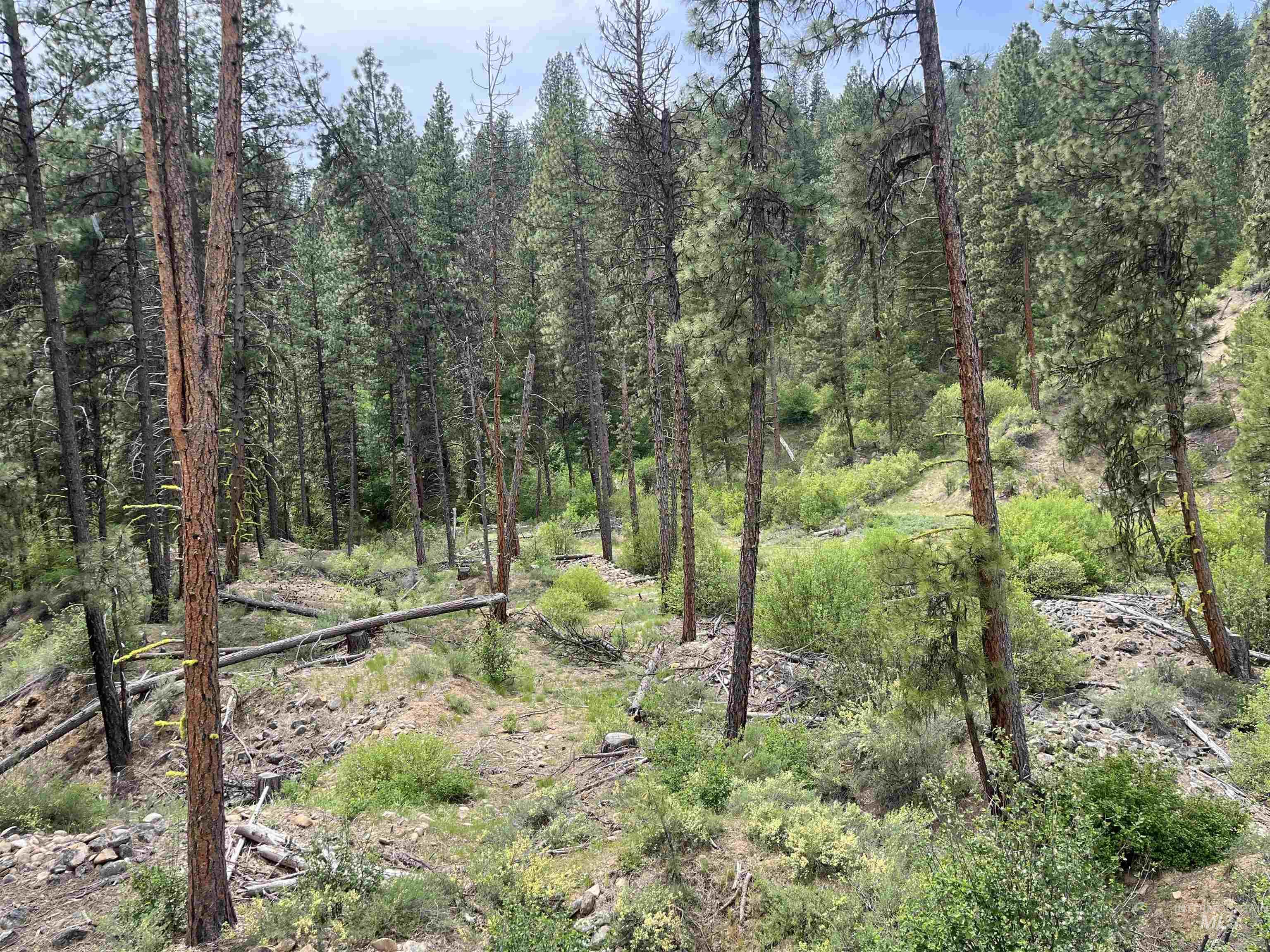 TBD 39.64 Manning Ln, Idaho City, Idaho 83631, Land For Sale, Price $1,600,000, 98951292