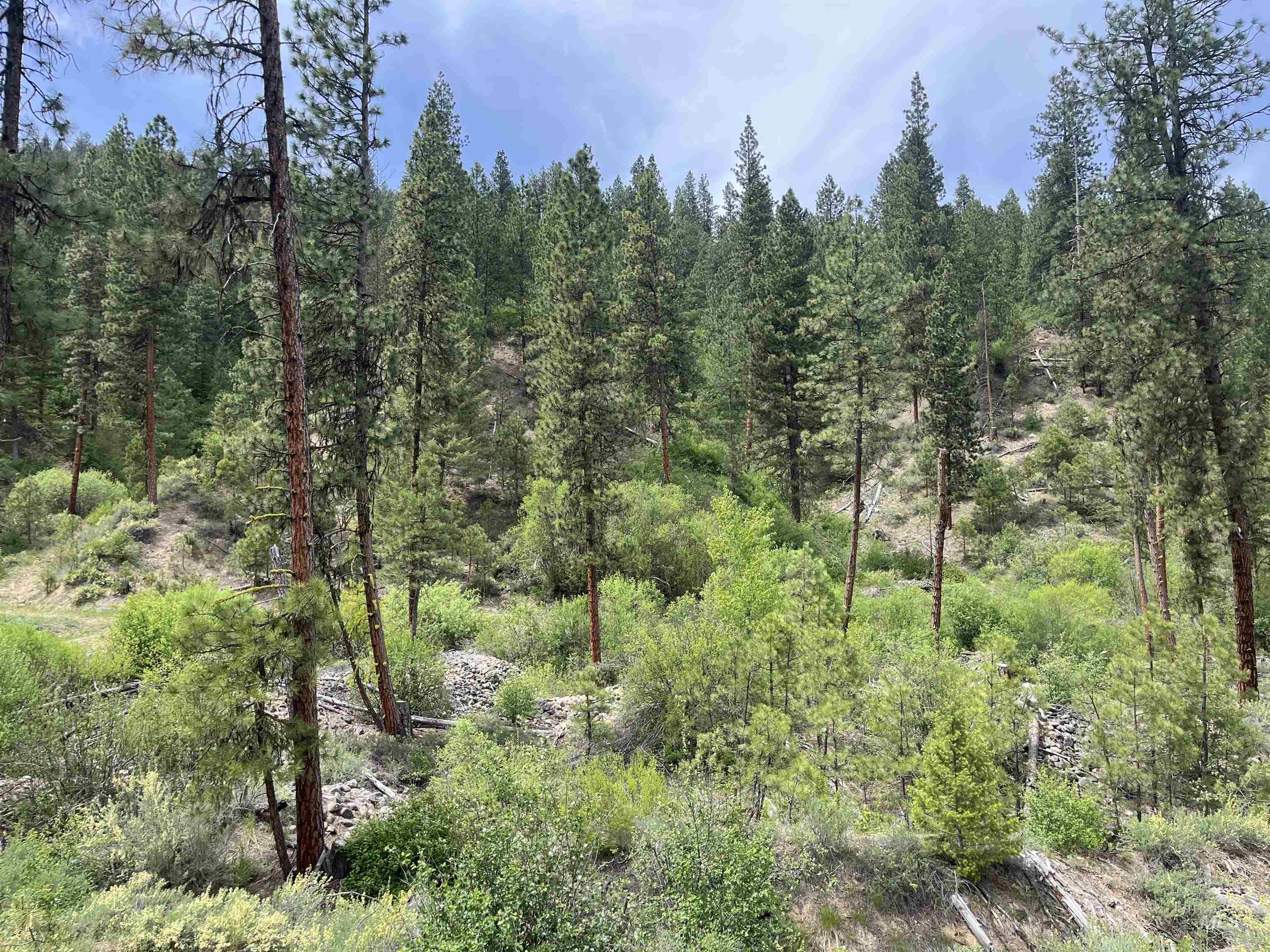 TBD 39.64 Manning Ln, Idaho City, Idaho 83631, Land For Sale, Price $1,600,000, 98951292