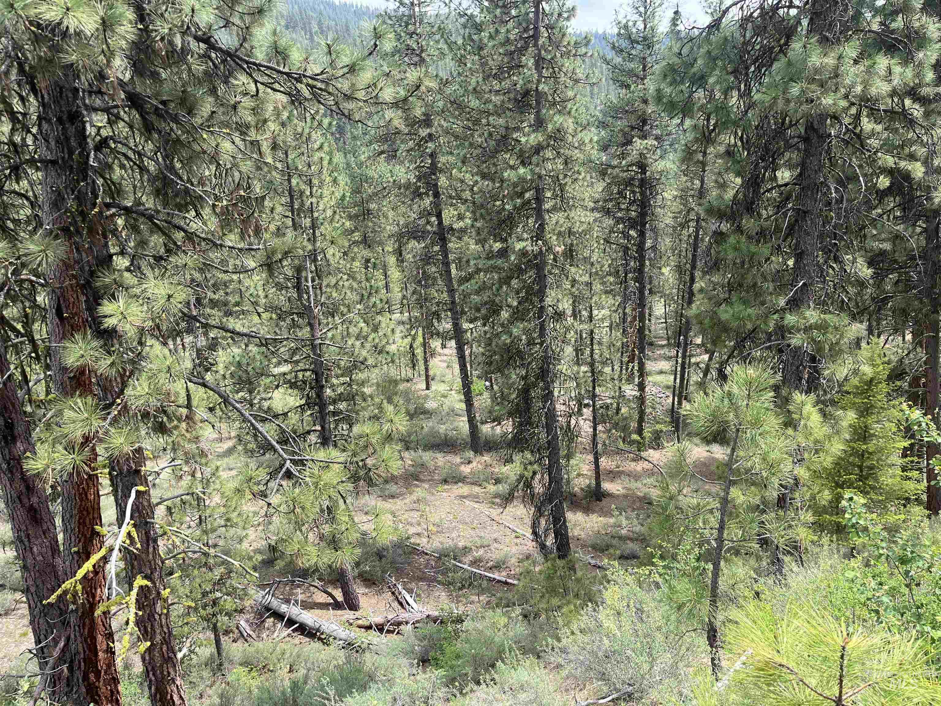 TBD 39.64 Manning Ln, Idaho City, Idaho 83631, Land For Sale, Price $1,600,000, 98951292