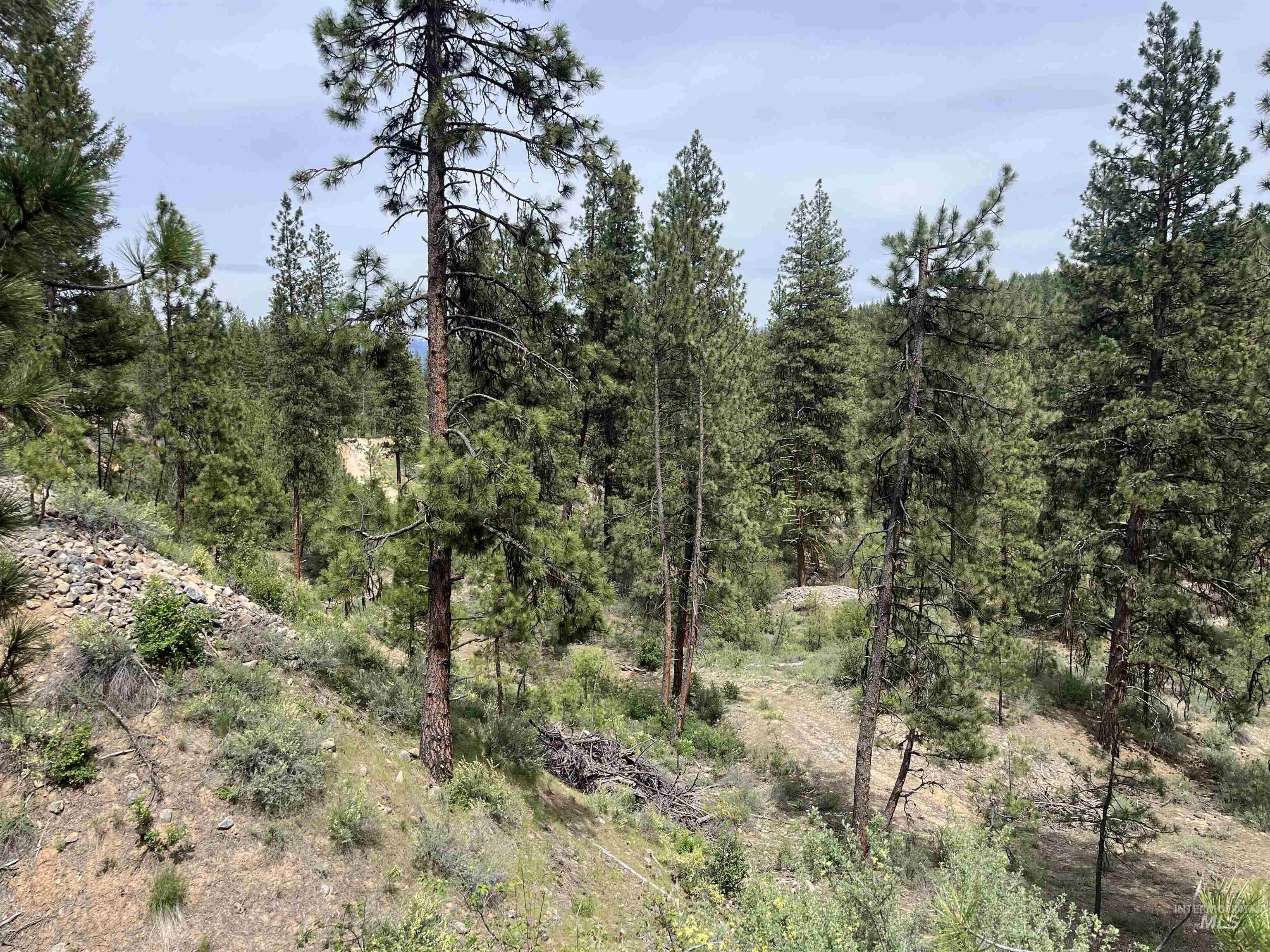 TBD 39.64 Manning Ln, Idaho City, Idaho 83631, Land For Sale, Price $1,600,000, 98951292