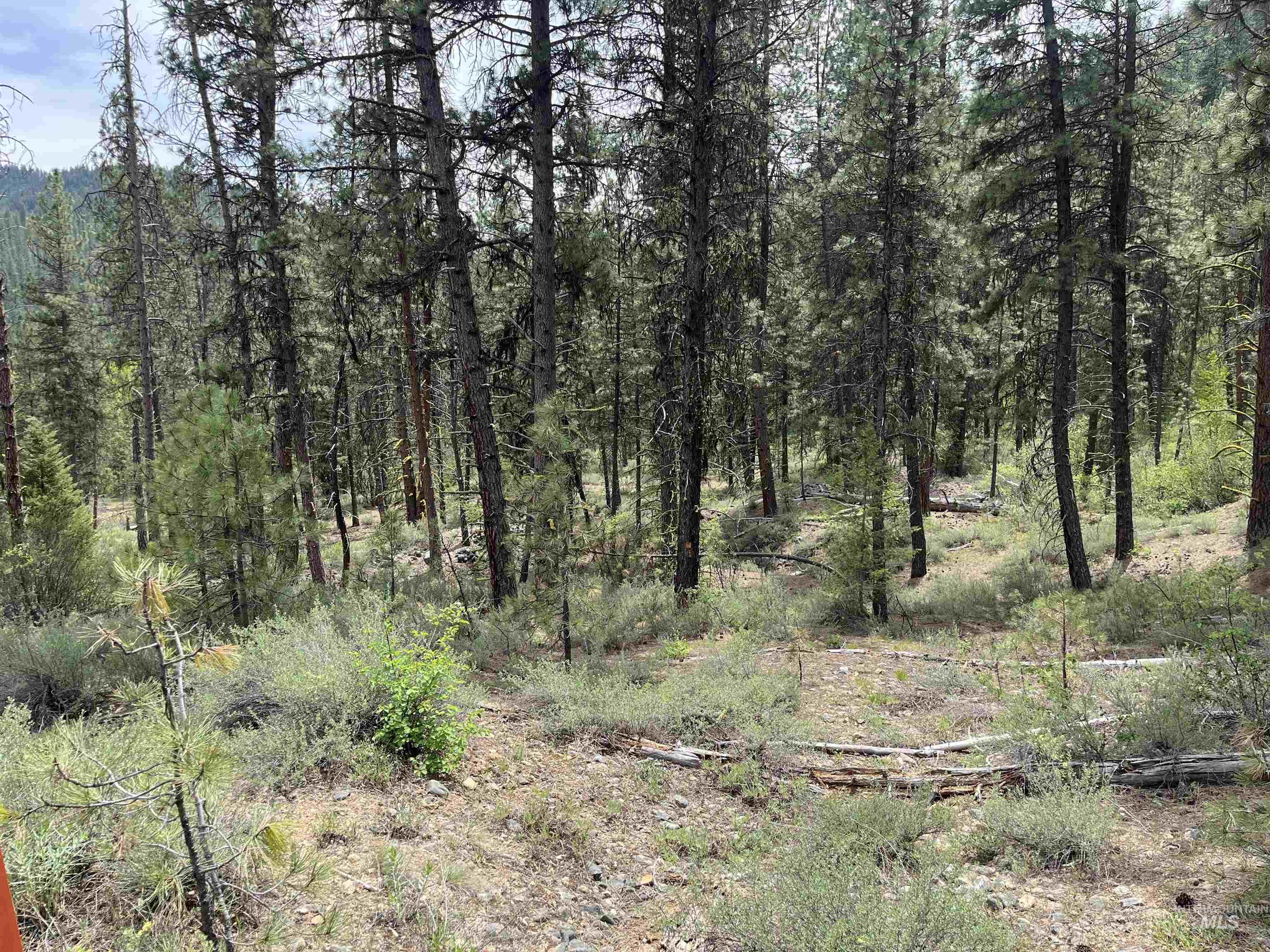 TBD 39.64 Manning Ln, Idaho City, Idaho 83631, Land For Sale, Price $1,600,000, 98951292