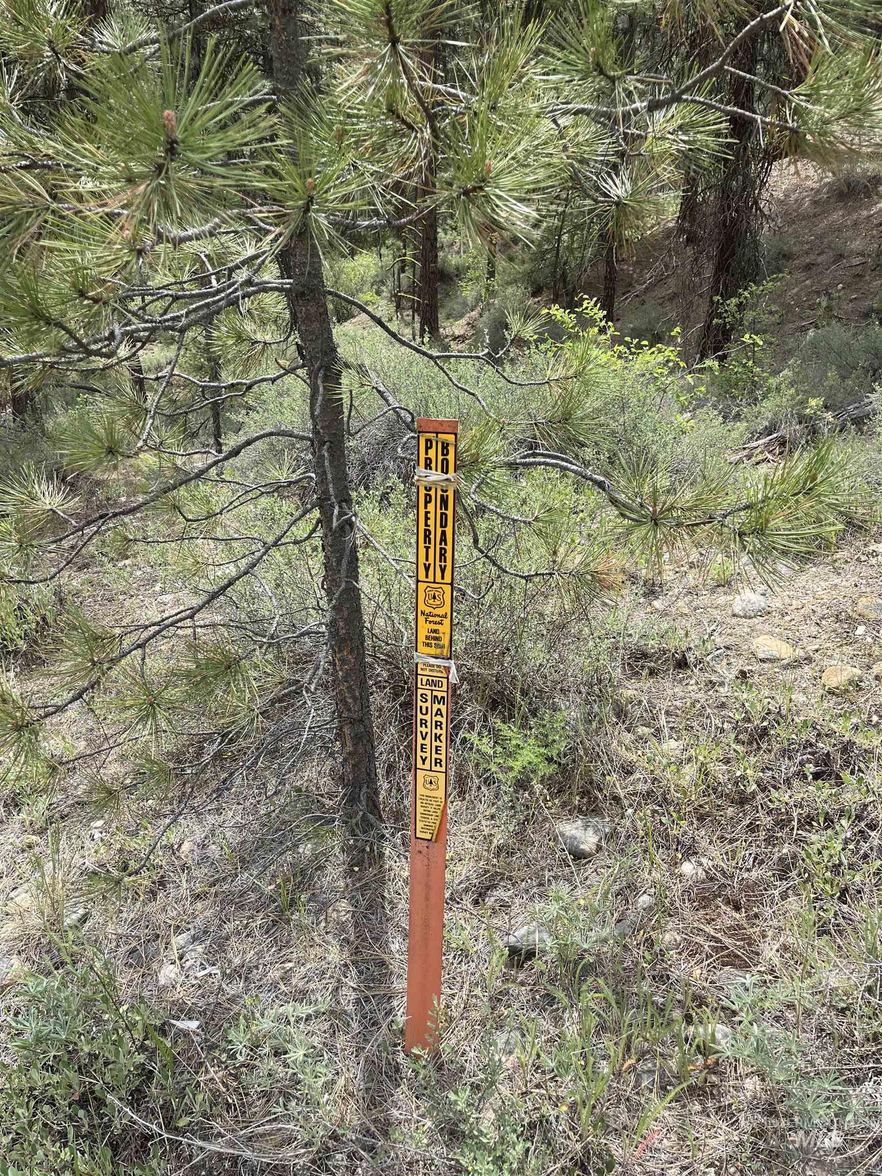 TBD 39.64 Manning Ln, Idaho City, Idaho 83631, Land For Sale, Price $1,600,000, 98951292