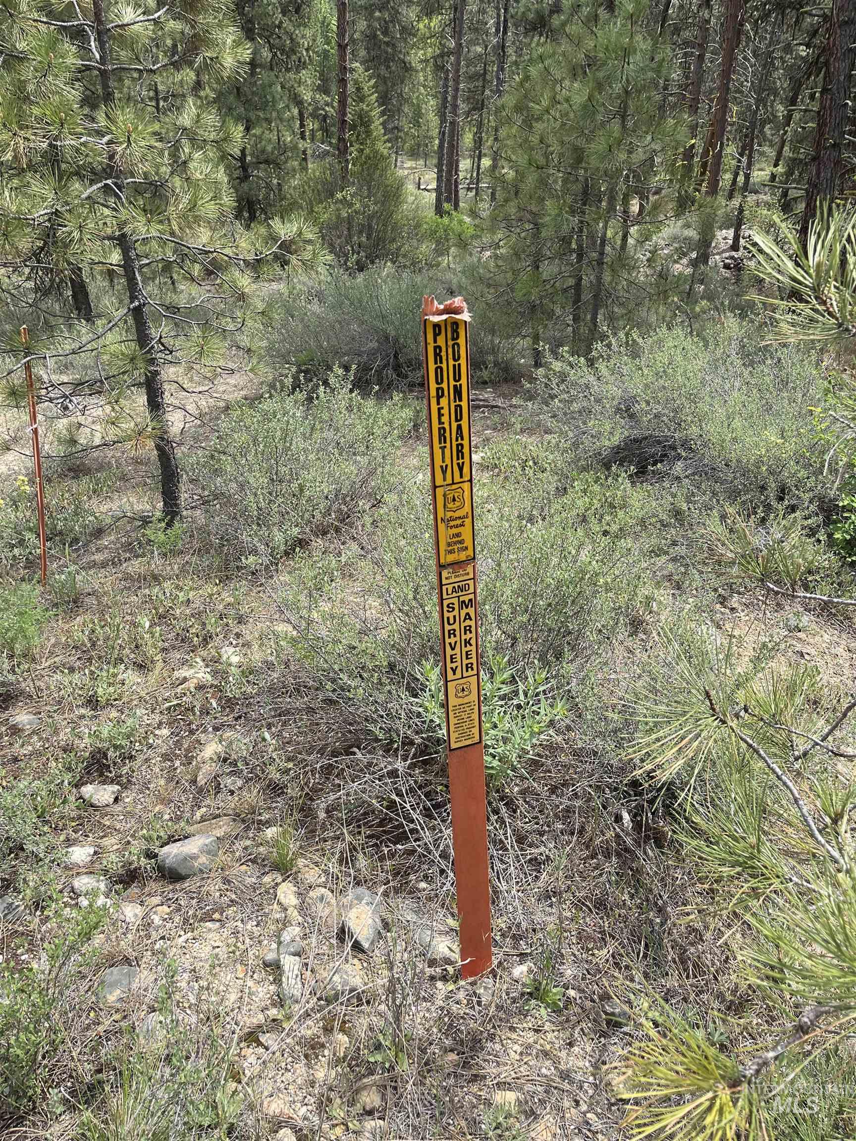 TBD 39.64 Manning Ln, Idaho City, Idaho 83631, Land For Sale, Price $1,600,000, 98951292