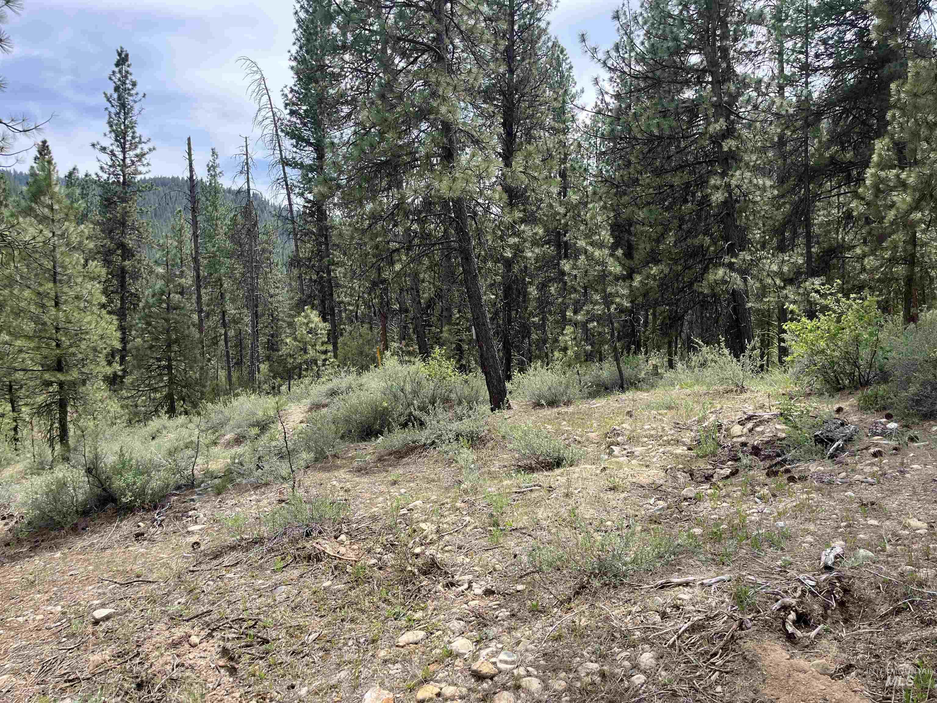 TBD 39.64 Manning Ln, Idaho City, Idaho 83631, Land For Sale, Price $1,600,000, 98951292