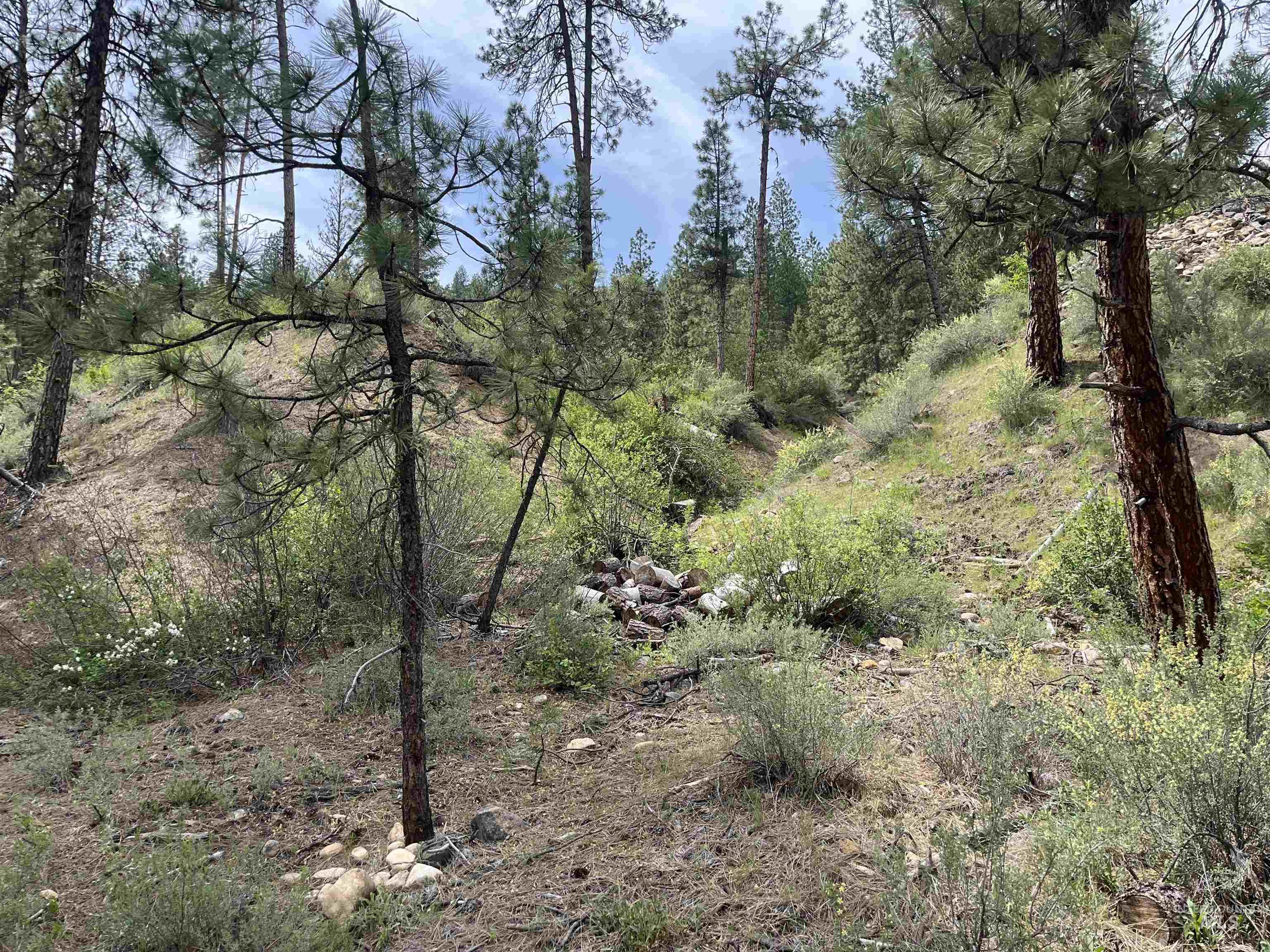 TBD 39.64 Manning Ln, Idaho City, Idaho 83631, Land For Sale, Price $1,600,000, 98951292