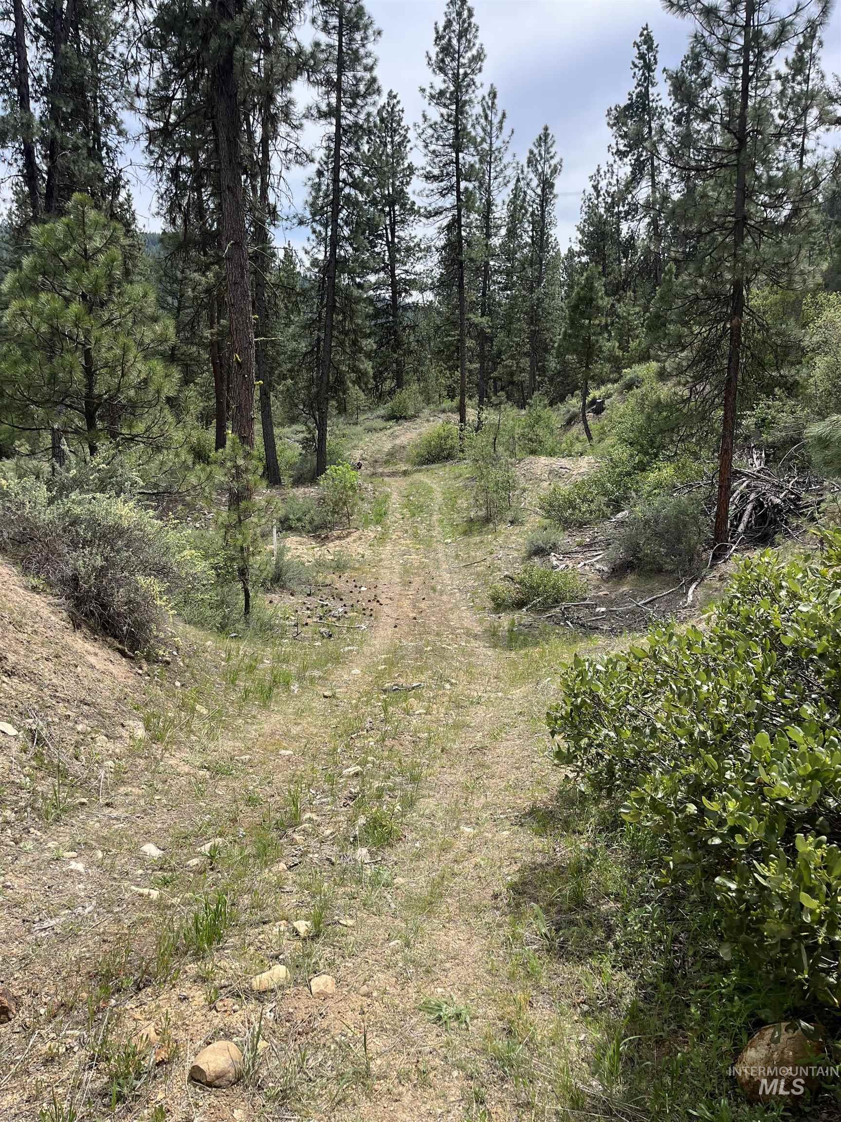 TBD 39.64 Manning Ln, Idaho City, Idaho 83631, Land For Sale, Price $1,600,000, 98951292
