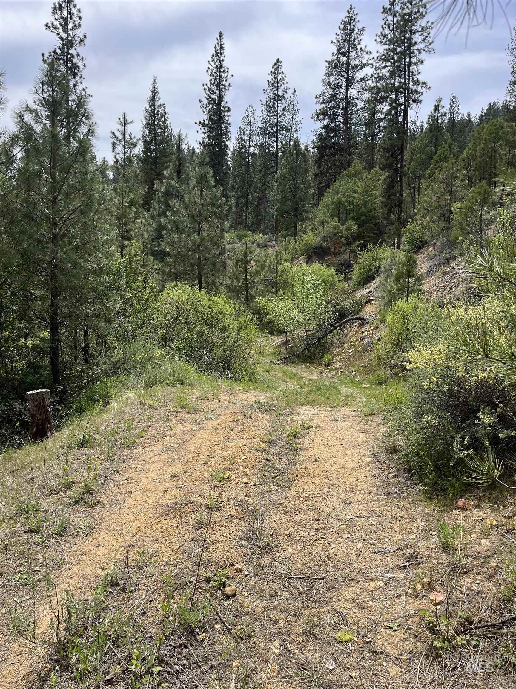TBD 39.64 Manning Ln, Idaho City, Idaho 83631, Land For Sale, Price $1,600,000, 98951292