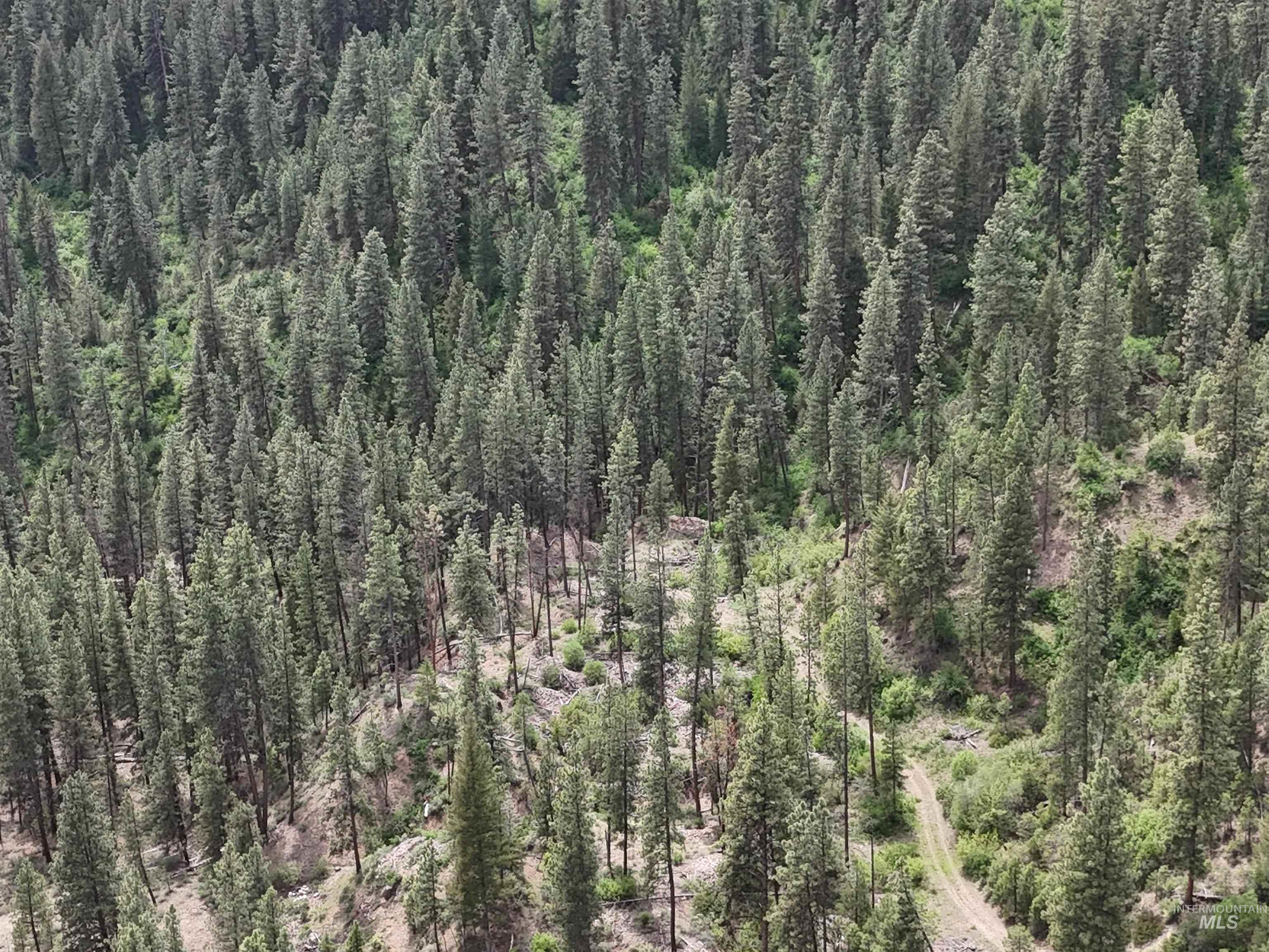 TBD 39.64 Manning Ln, Idaho City, Idaho 83631, Land For Sale, Price $1,600,000, 98951292
