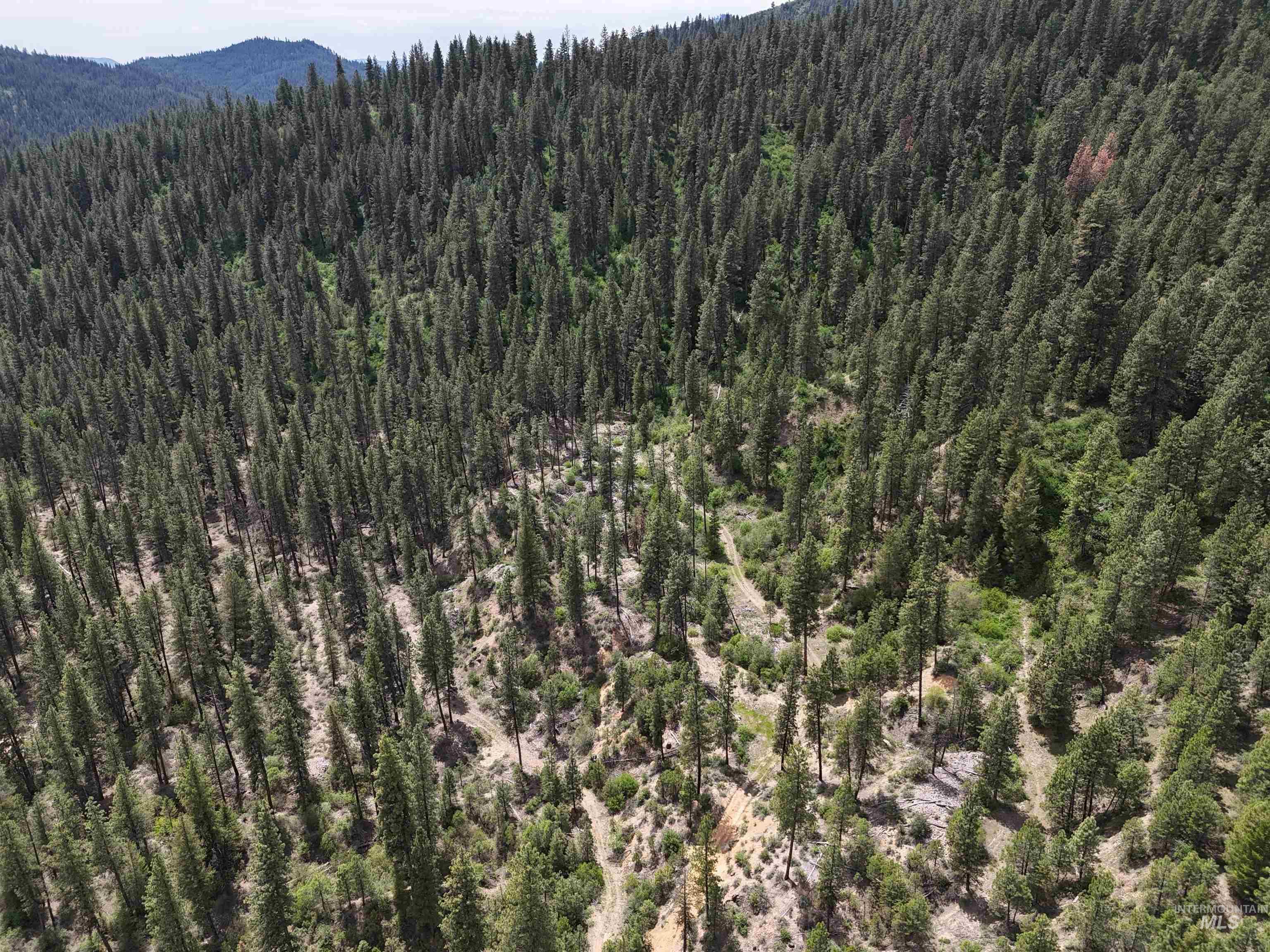 TBD 39.64 Manning Ln, Idaho City, Idaho 83631, Land For Sale, Price $1,600,000, 98951292