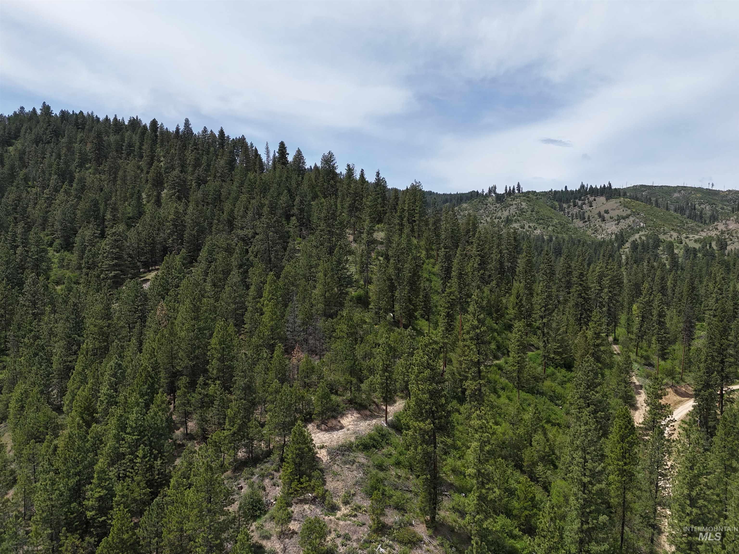 TBD 39.64 Manning Ln, Idaho City, Idaho 83631, Land For Sale, Price $1,600,000, 98951292