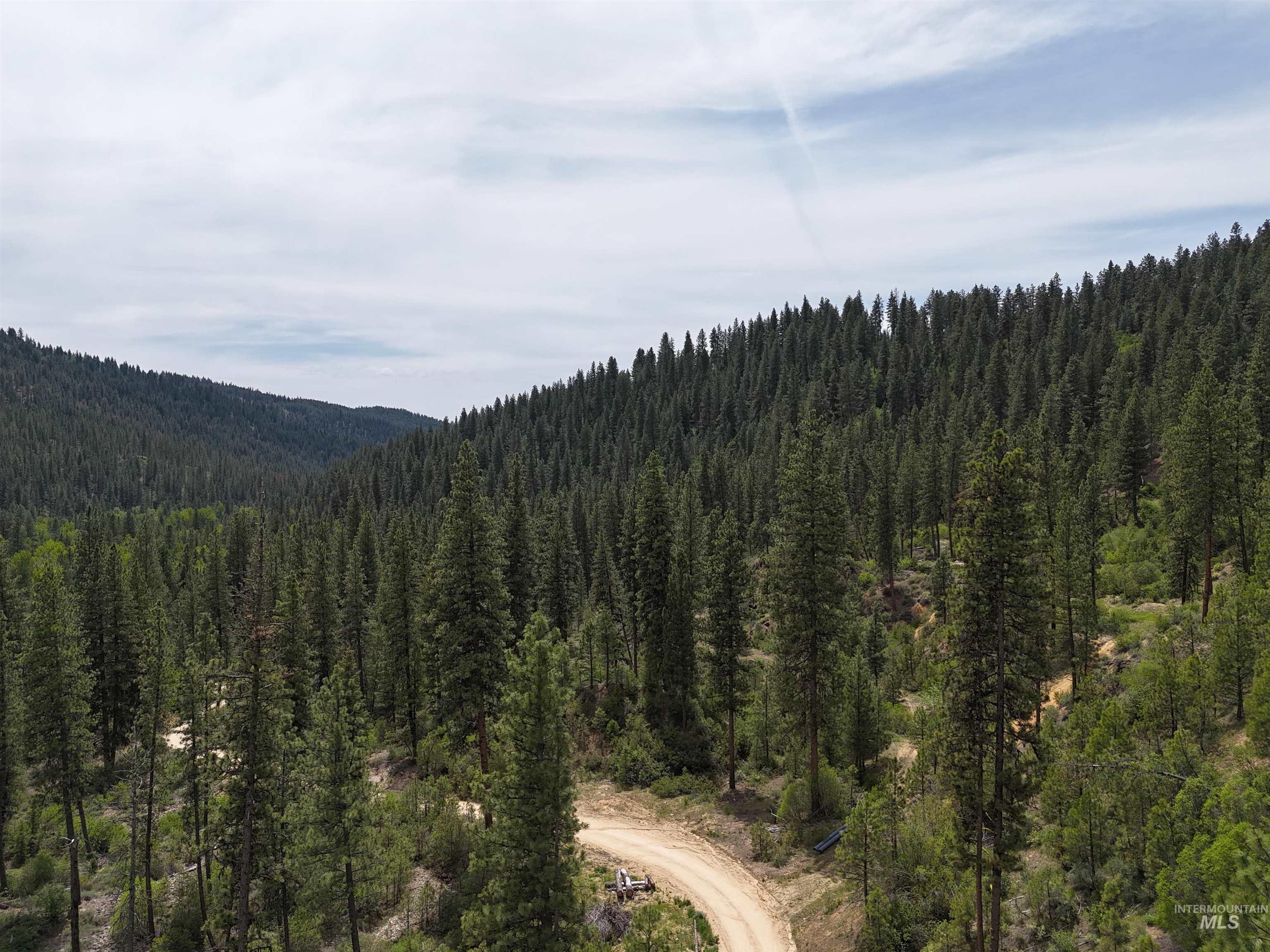 TBD 39.64 Manning Ln, Idaho City, Idaho 83631, Land For Sale, Price $1,600,000, 98951292