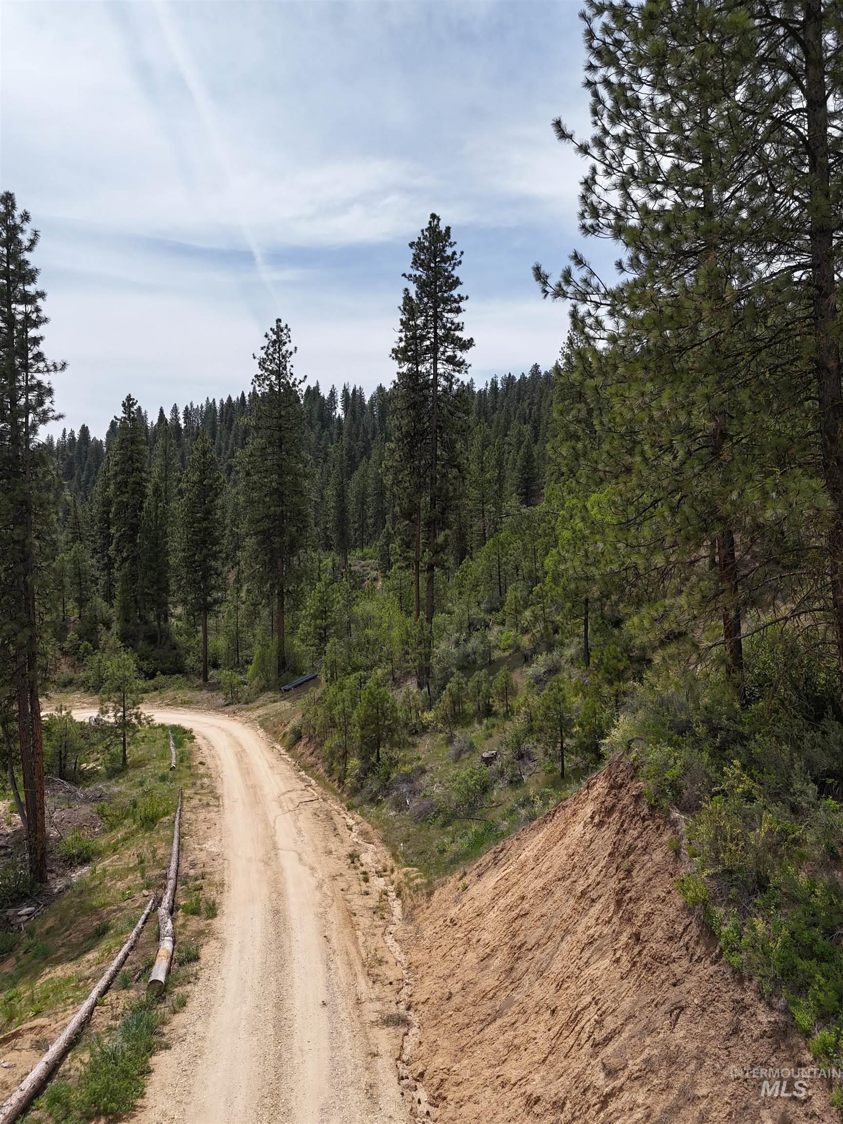 TBD 39.64 Manning Ln, Idaho City, Idaho 83631, Land For Sale, Price $1,600,000, 98951292