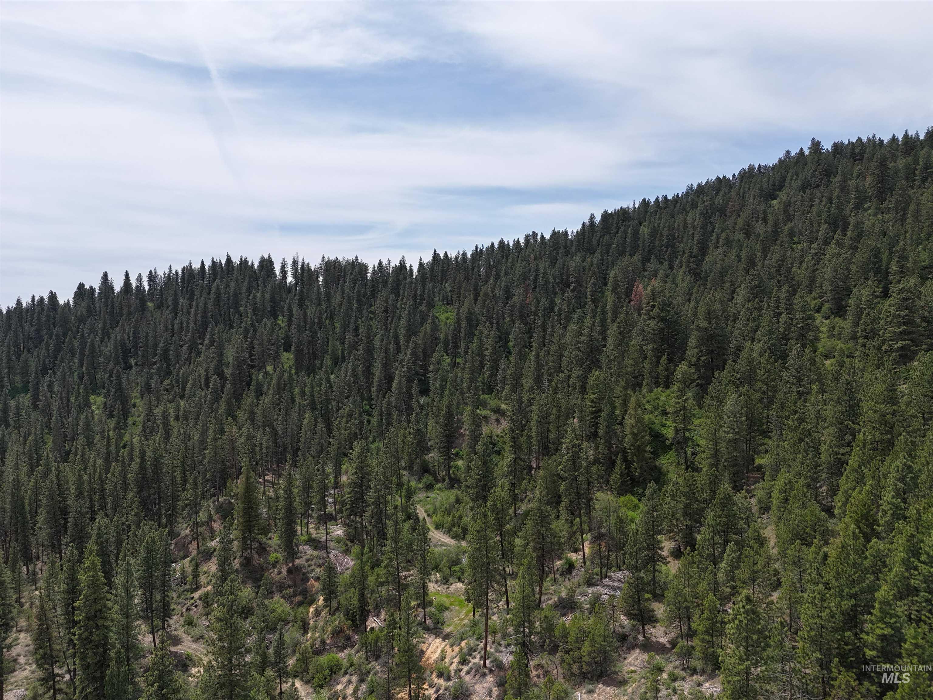 TBD 39.64 Manning Ln, Idaho City, Idaho 83631, Land For Sale, Price $1,600,000, 98951292