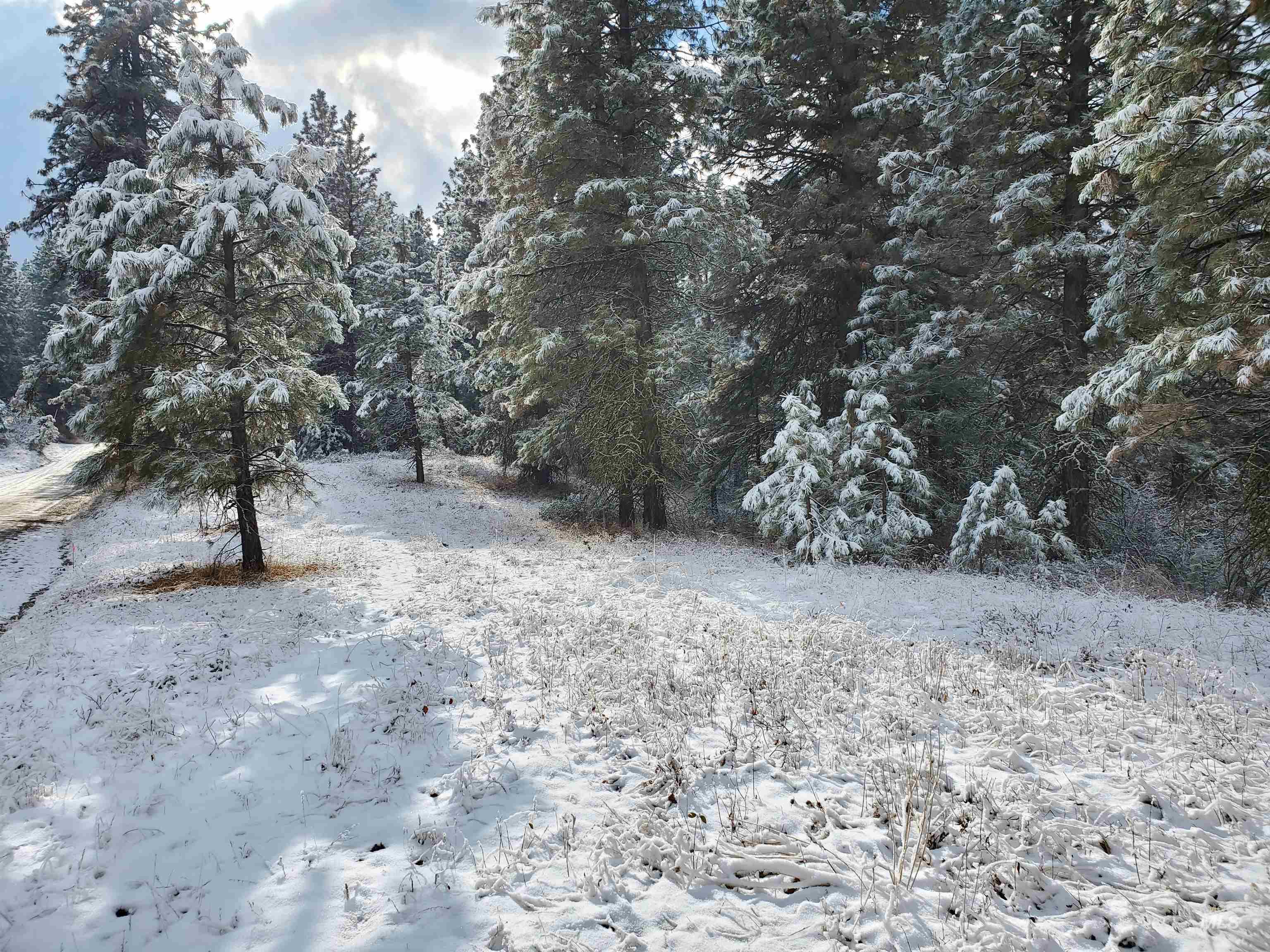 TBD Cruickshank Rd, Banks, Idaho 83602, Land For Sale, Price $175,000, 98951326