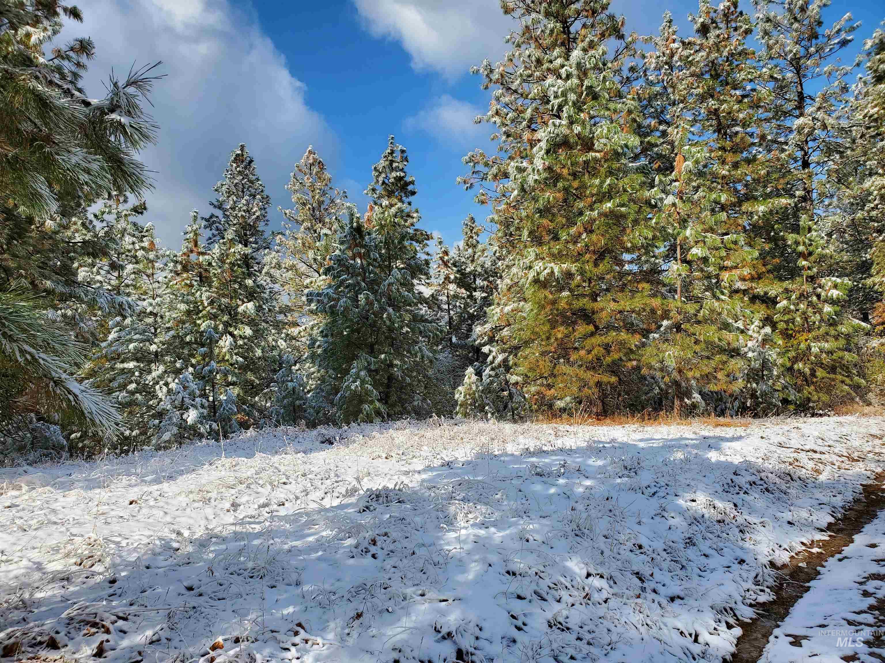TBD Cruickshank Rd, Banks, Idaho 83602, Land For Sale, Price $175,000, 98951326