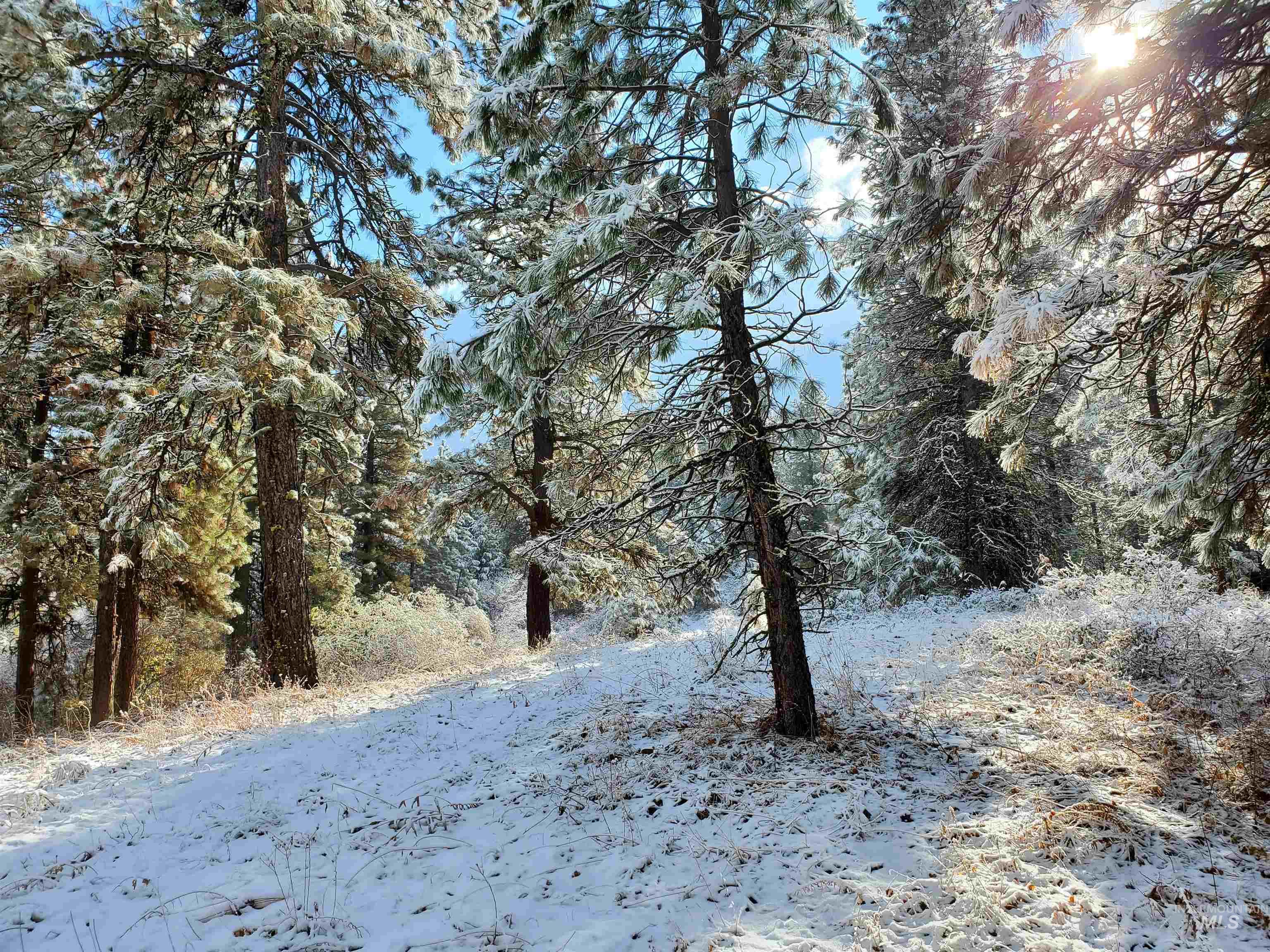 TBD Cruickshank Rd, Banks, Idaho 83602, Land For Sale, Price $175,000, 98951326