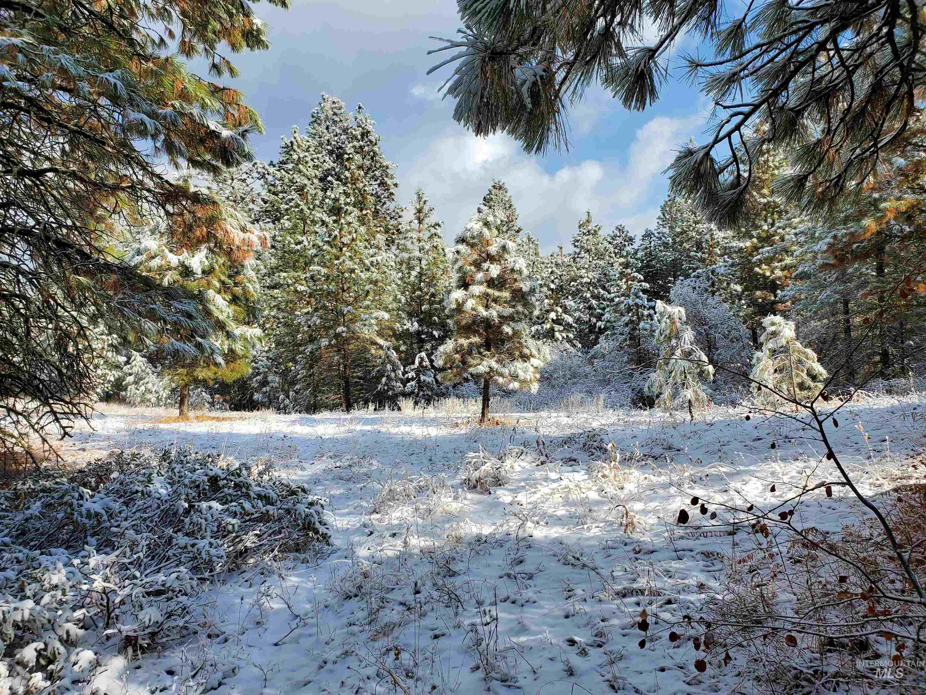 TBD Cruickshank Rd, Banks, Idaho 83602, Land For Sale, Price $175,000, 98951326