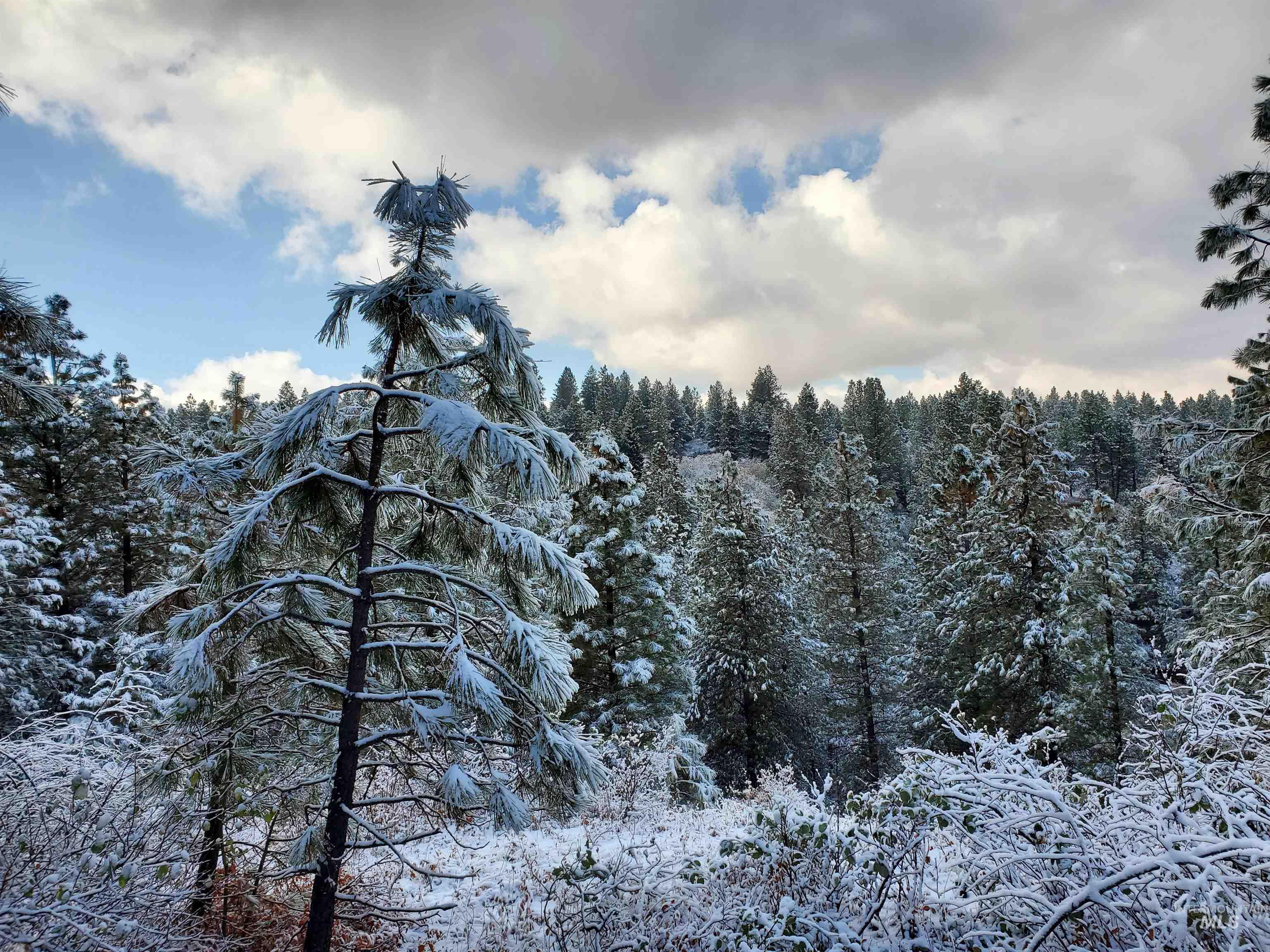 TBD Cruickshank Rd, Banks, Idaho 83602, Land For Sale, Price $175,000, 98951326