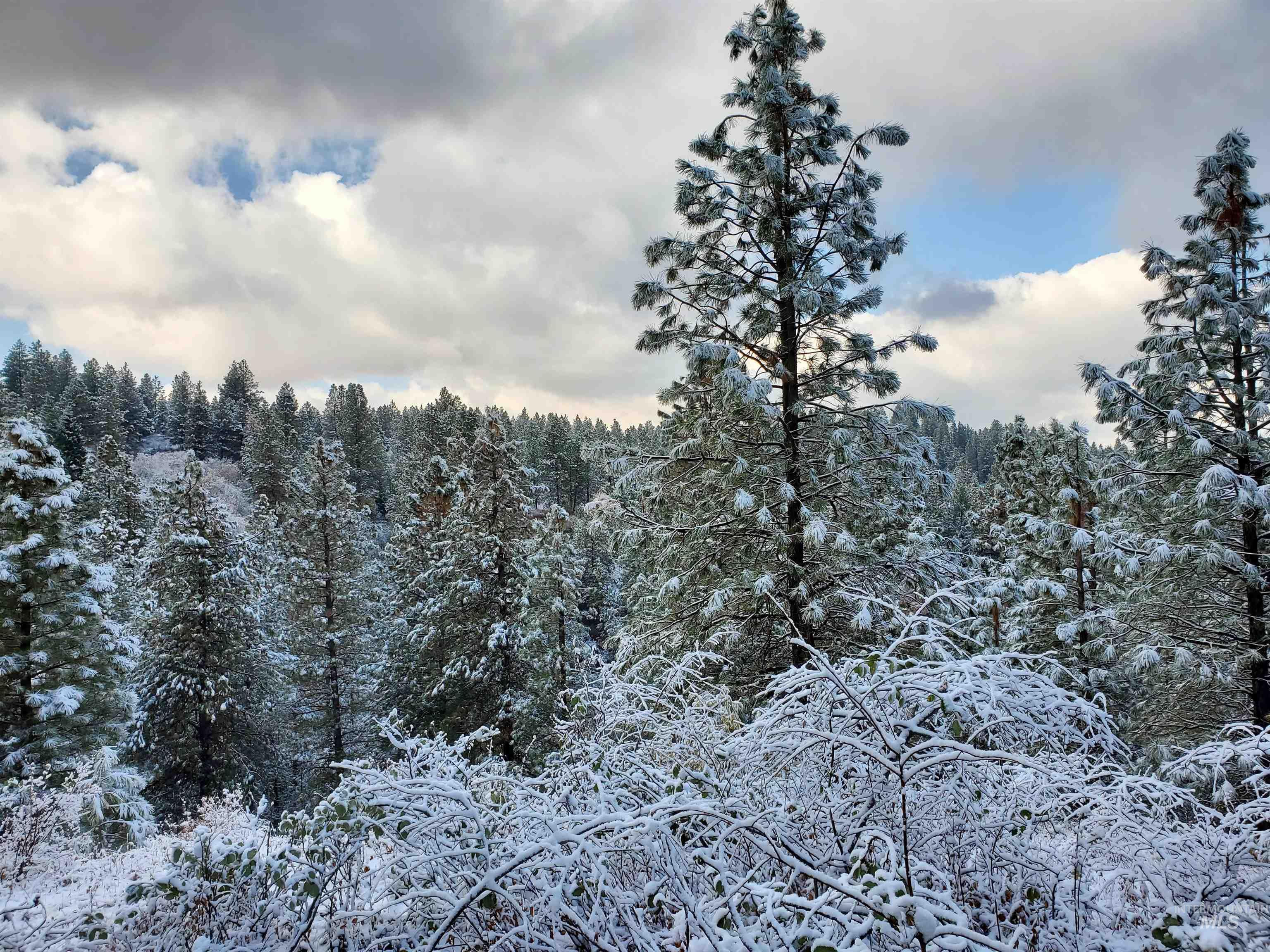 TBD Cruickshank Rd, Banks, Idaho 83602, Land For Sale, Price $175,000, 98951326