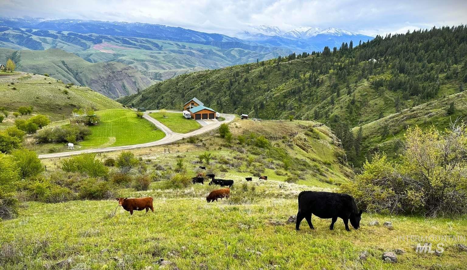 View of mountain backdrop with a pastoral area and rural landscape