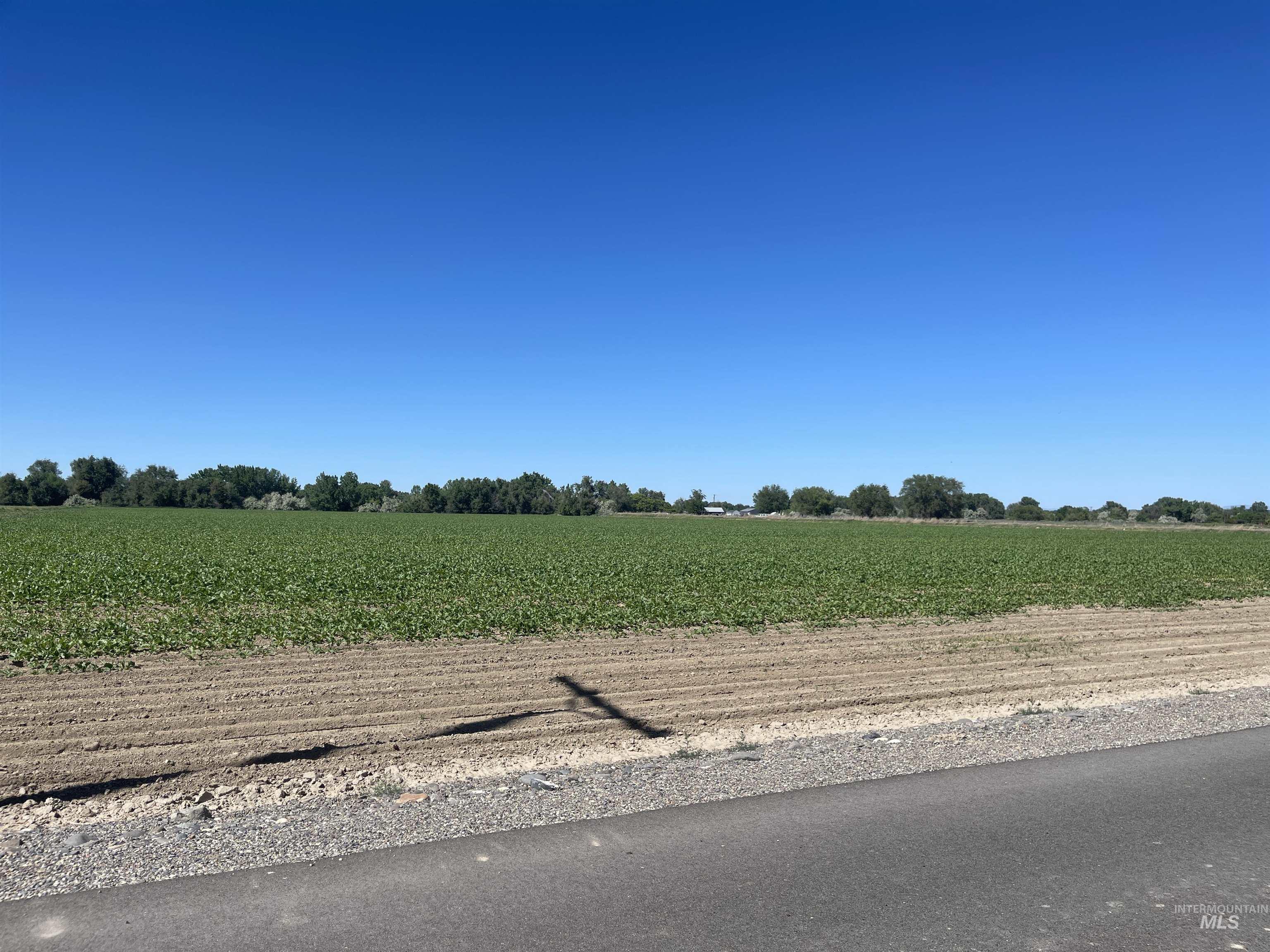 TBD Kygar Rd, Adrian, Oregon 97913, Land For Sale, Price $425,000, 98951394