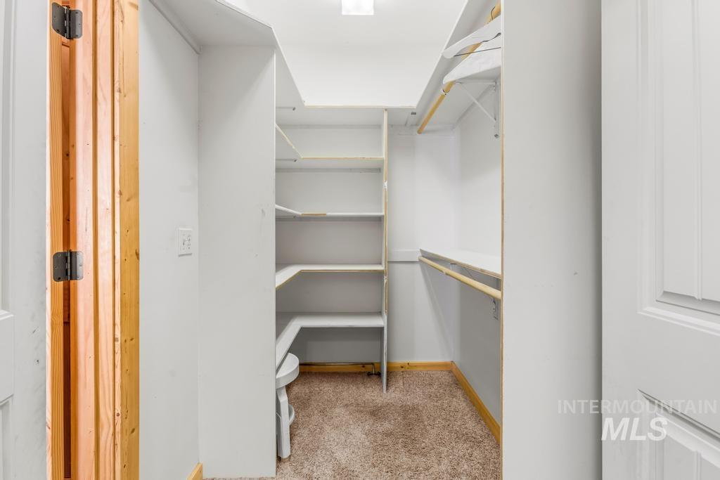 Walk in closet featuring light colored carpet
