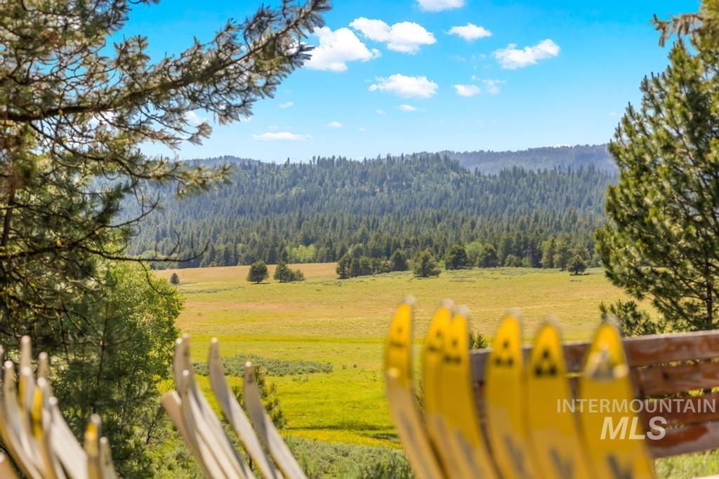 View of mountain background featuring a heavily wooded area