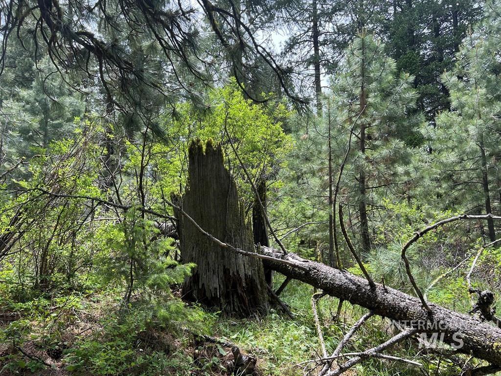 TBD Hilltop Rd., Cascade, Idaho 83611, Land For Sale, Price $179,000, 98951420