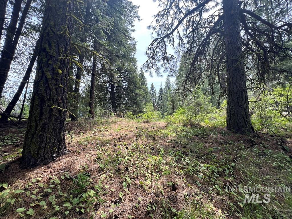 TBD Hilltop Rd., Cascade, Idaho 83611, Land For Sale, Price $179,000, 98951420